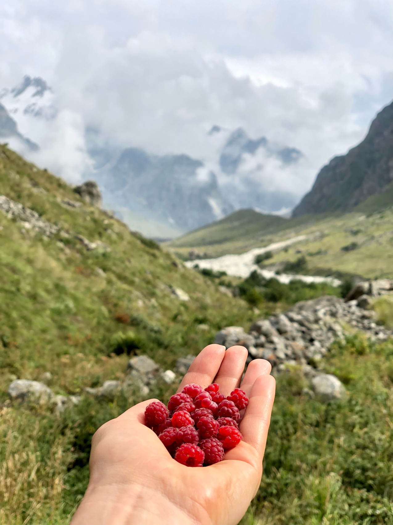 Треккинг по Безенги (без рюкзаков и палаток) (8/33)