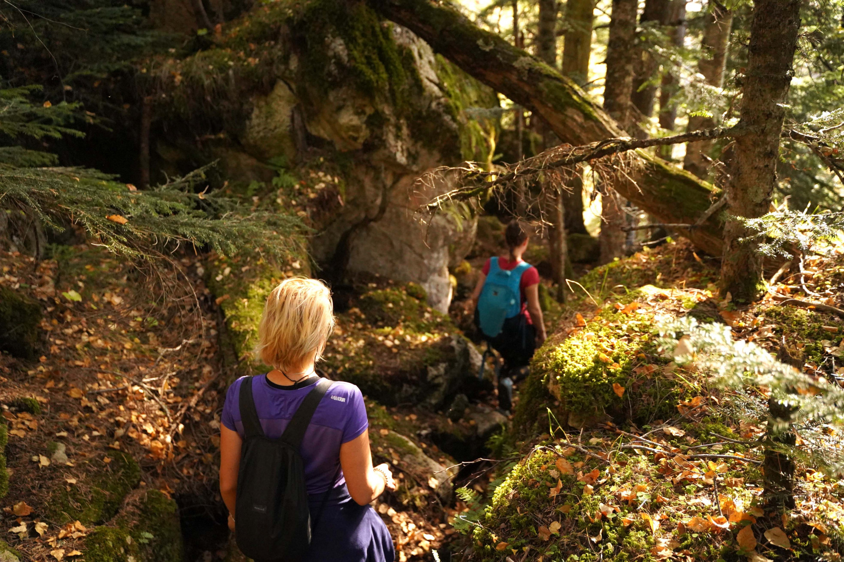 Осенний калейдоскоп (49/71)