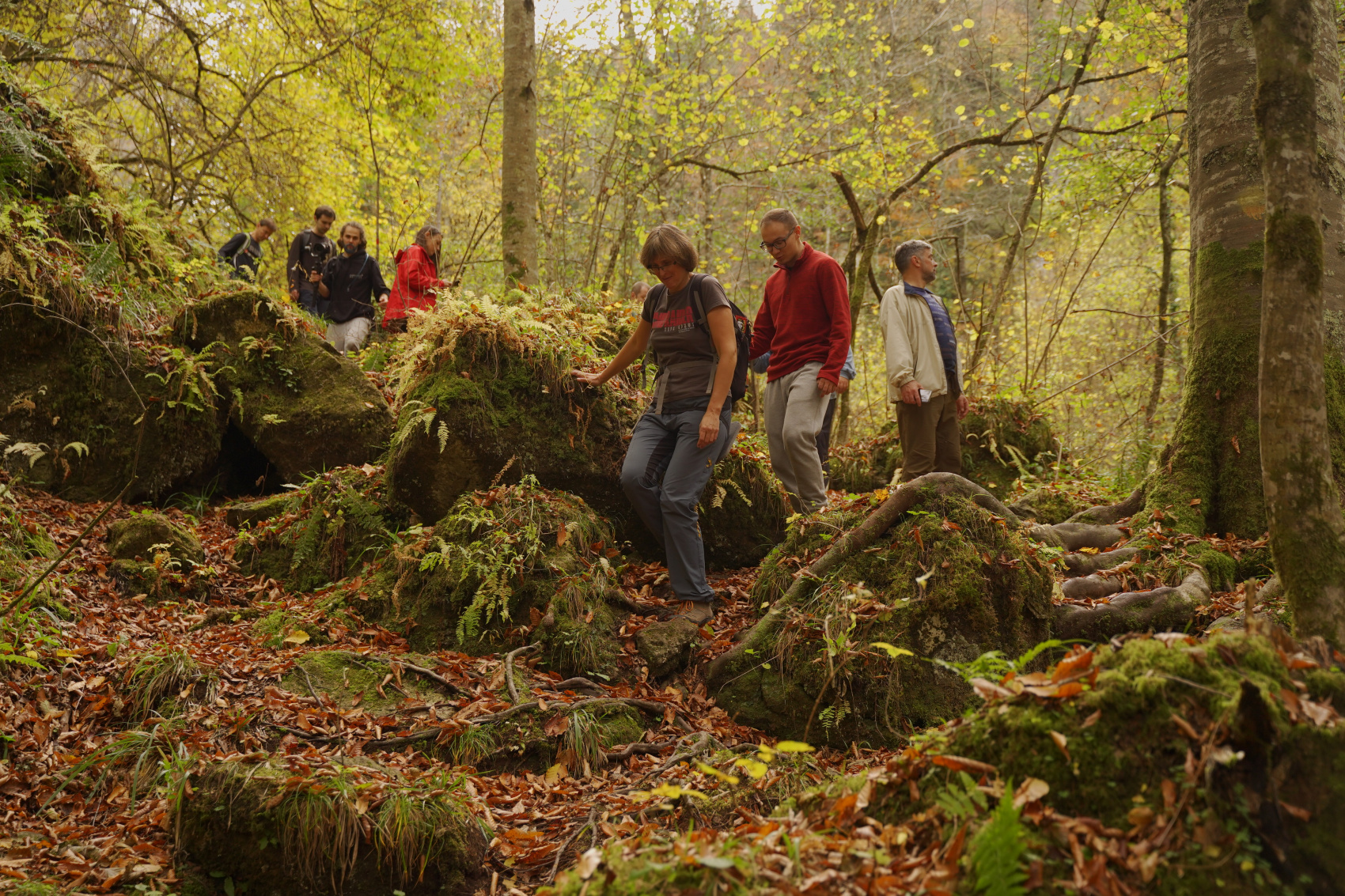 Осенний калейдоскоп (23/71)