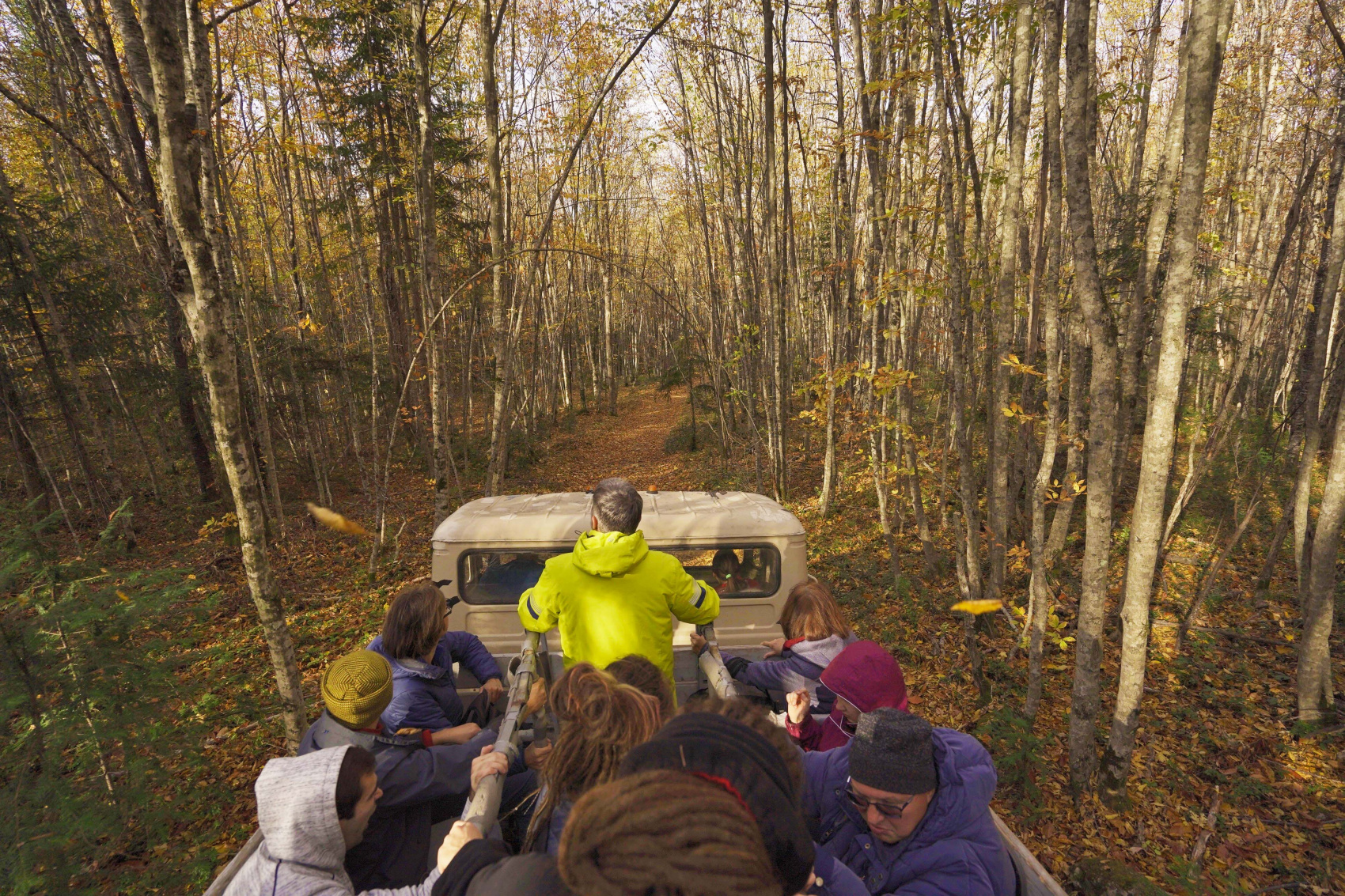 Осенний калейдоскоп (15/71)