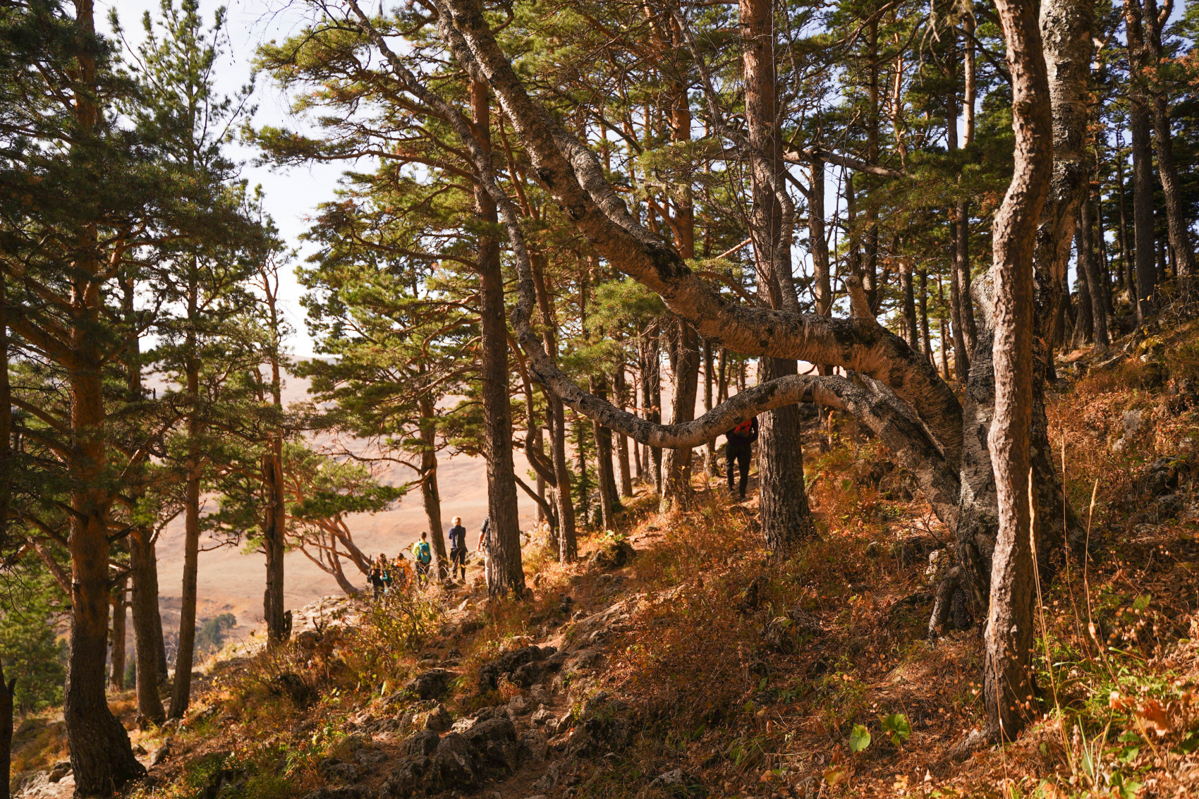 Осенний калейдоскоп (44/71)