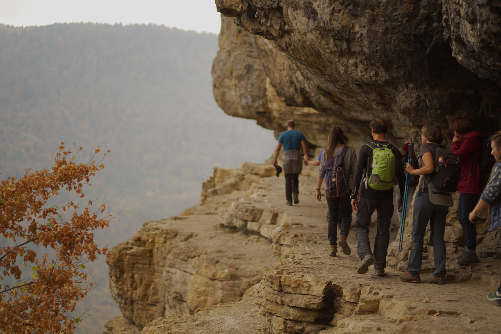 Осенний калейдоскоп (24/71)
