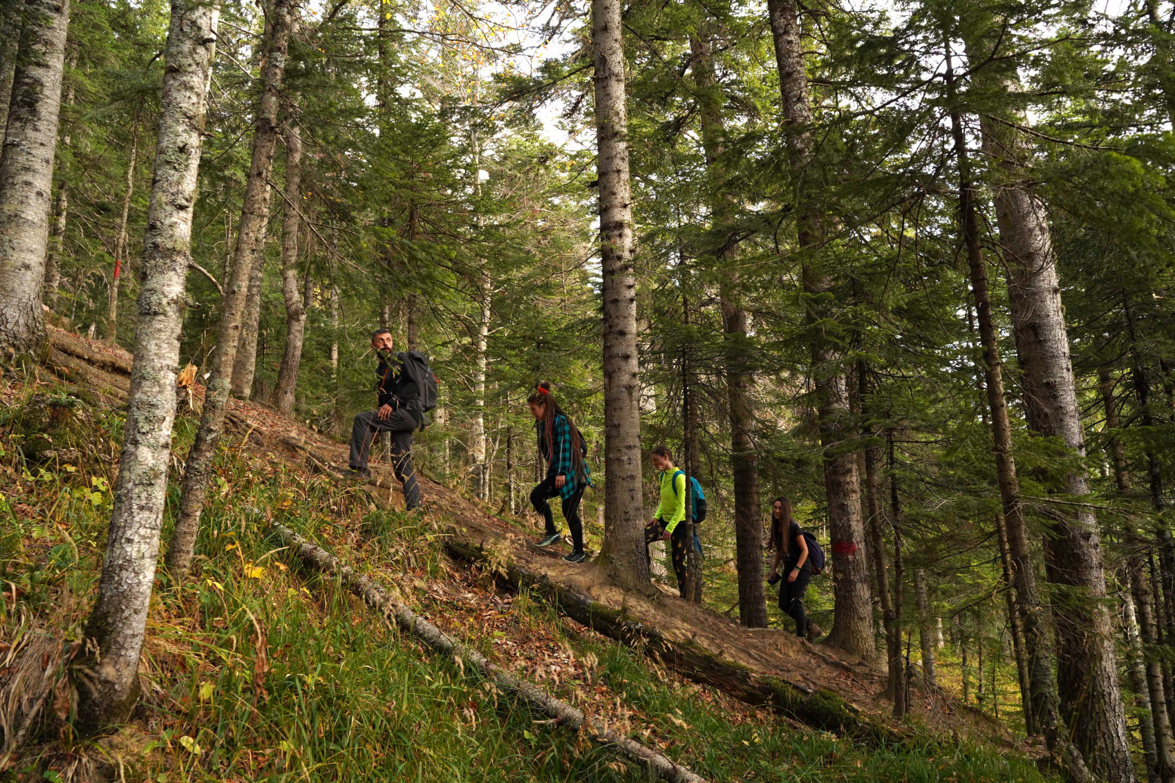 Осенний калейдоскоп (48/71)