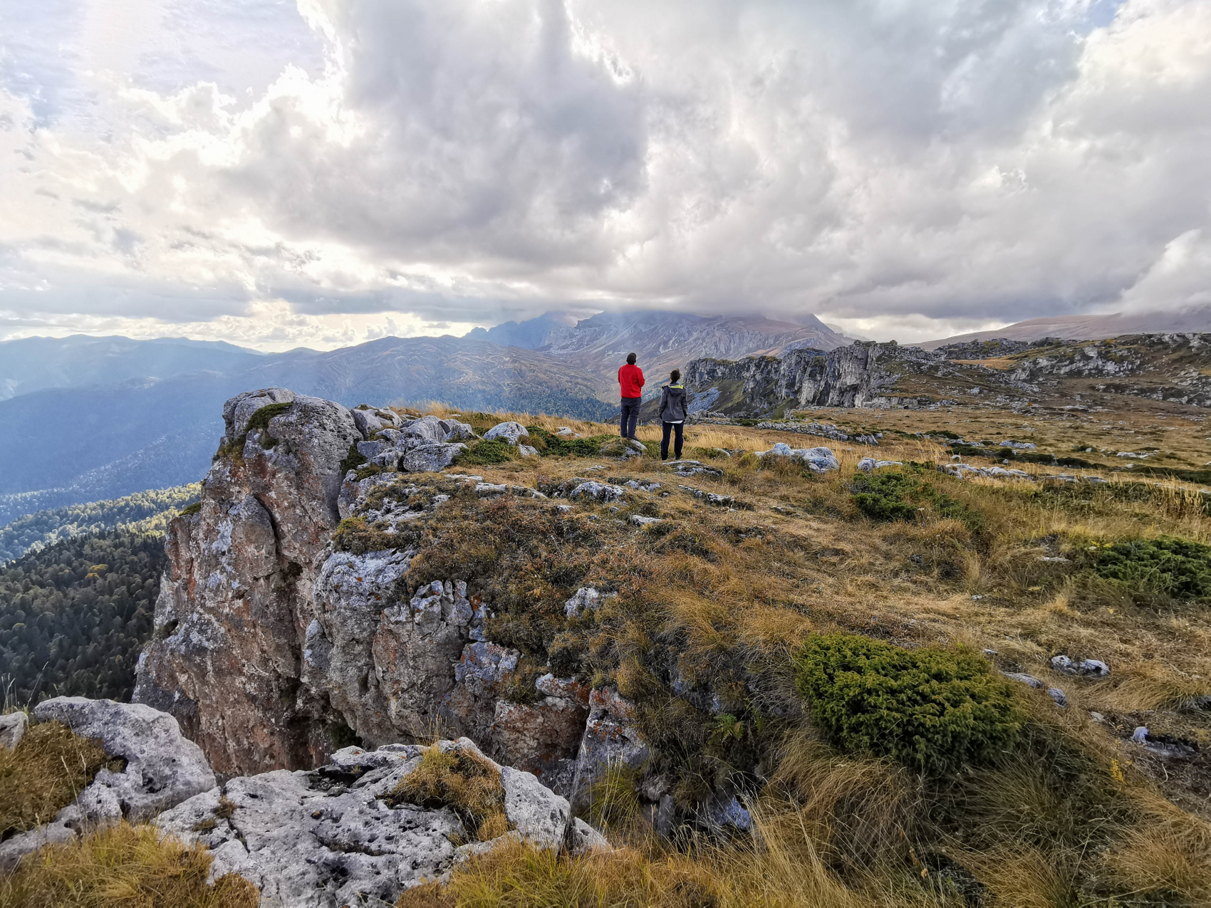 Осенний калейдоскоп (9/71)
