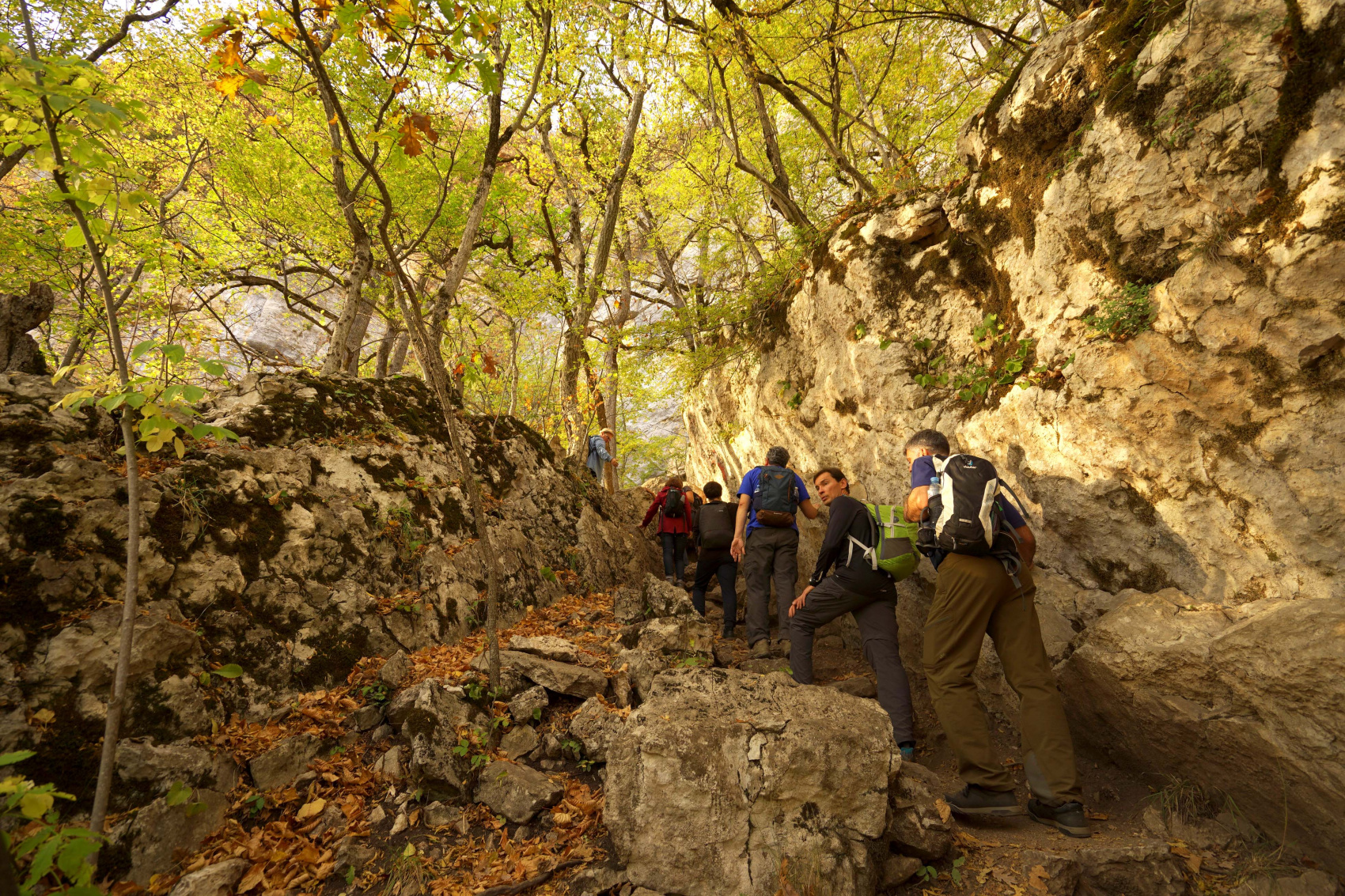 Осенний калейдоскоп (22/71)
