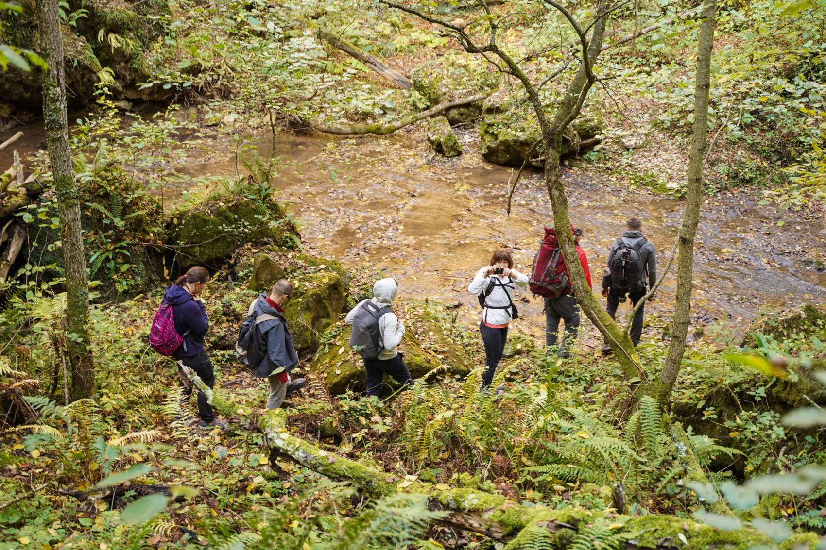 Осенний калейдоскоп (35/71)