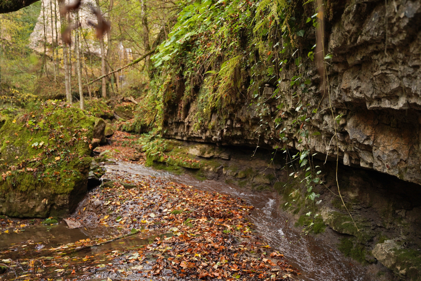 Осенний калейдоскоп (19/71)
