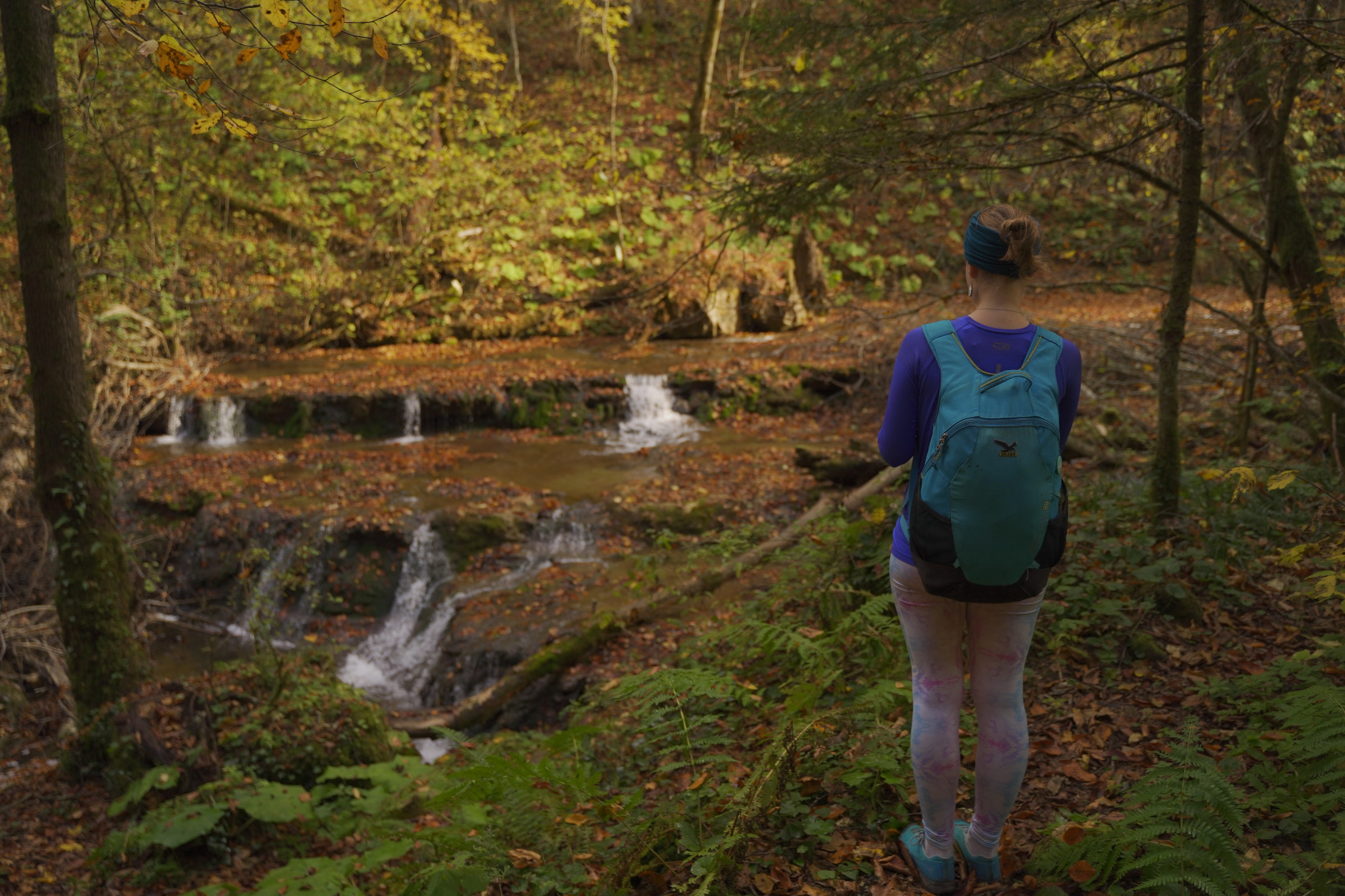 Осенний калейдоскоп (20/71)