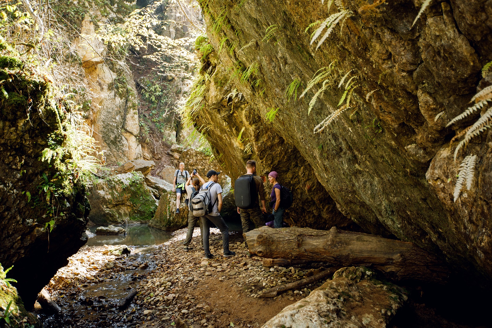 Осенний калейдоскоп (33/71)