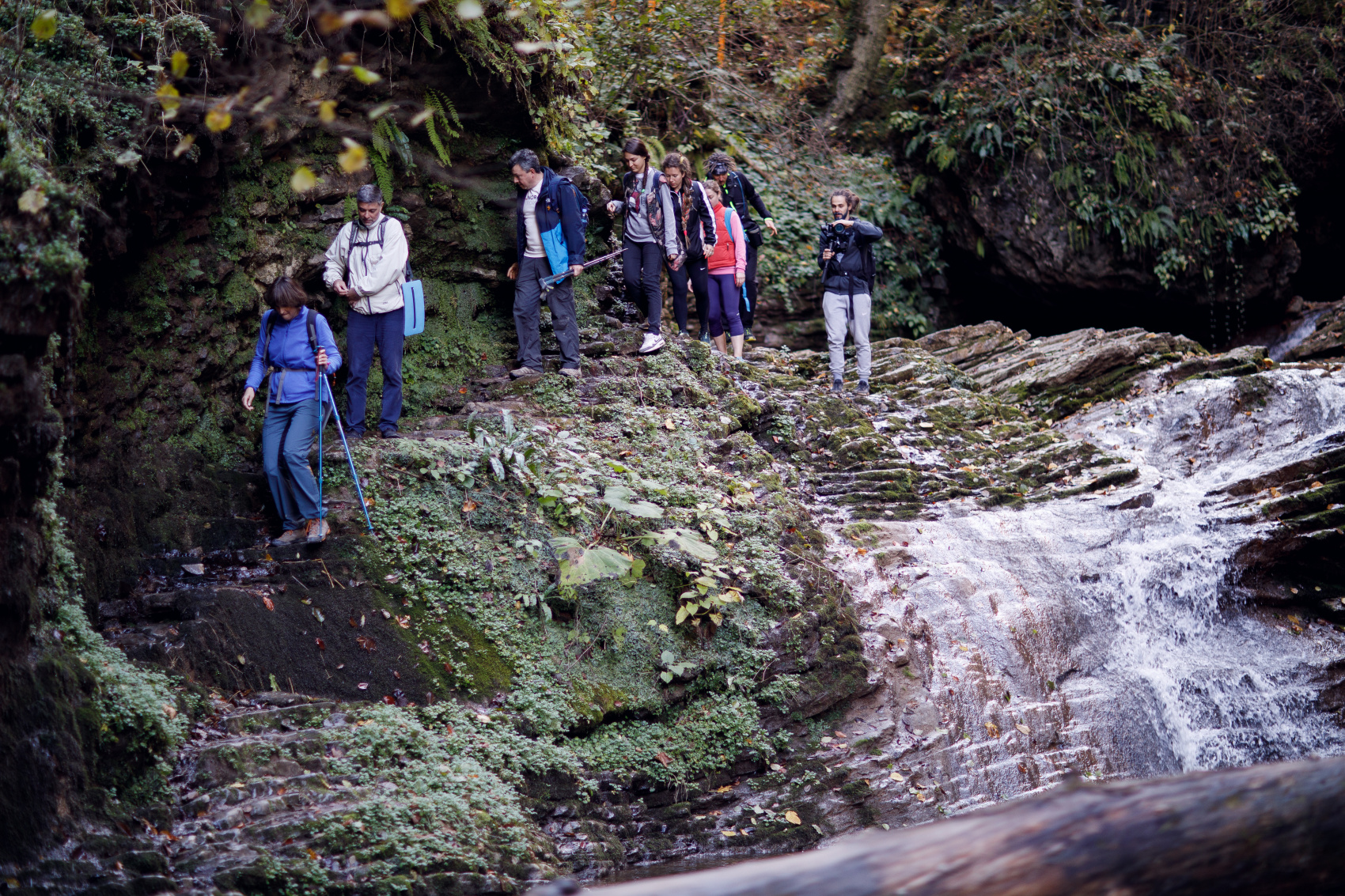 Осенний калейдоскоп (41/71)