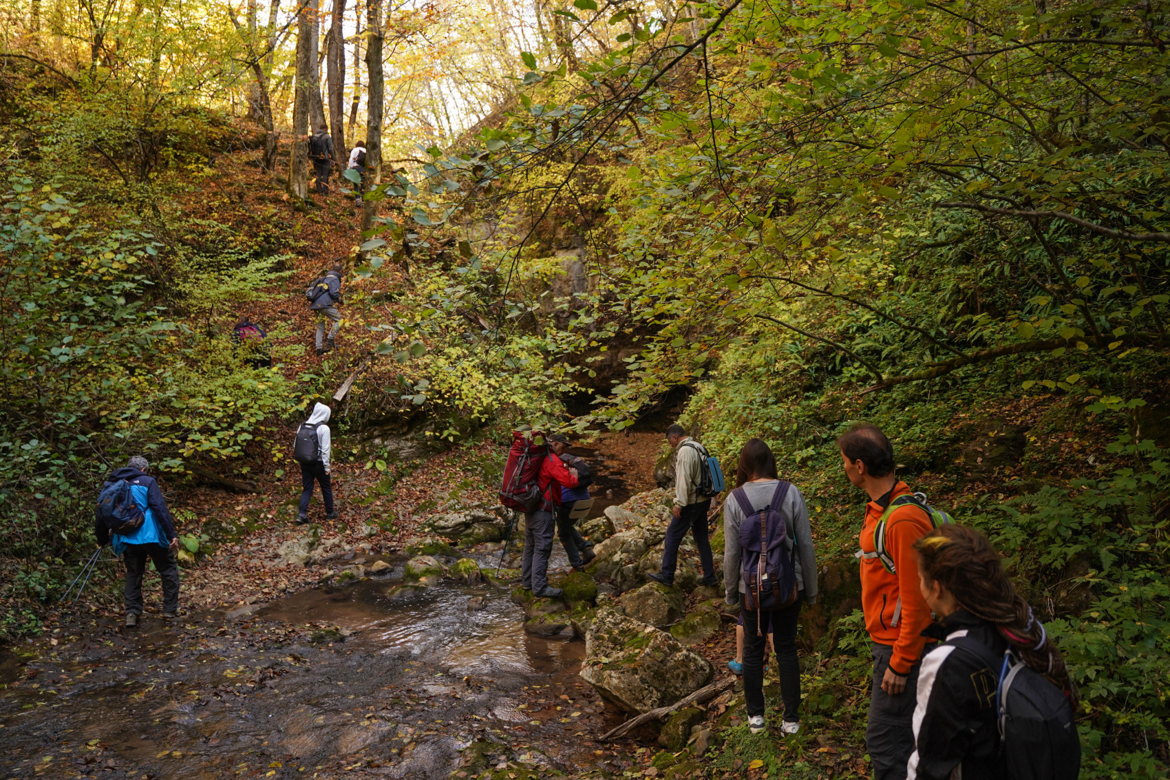 Осенний калейдоскоп (36/71)