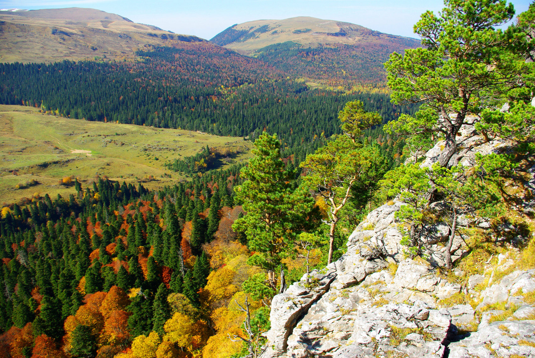 Осенний калейдоскоп (50/71)