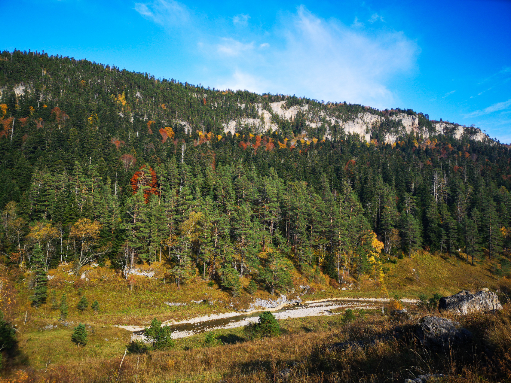Осенний калейдоскоп (42/71)