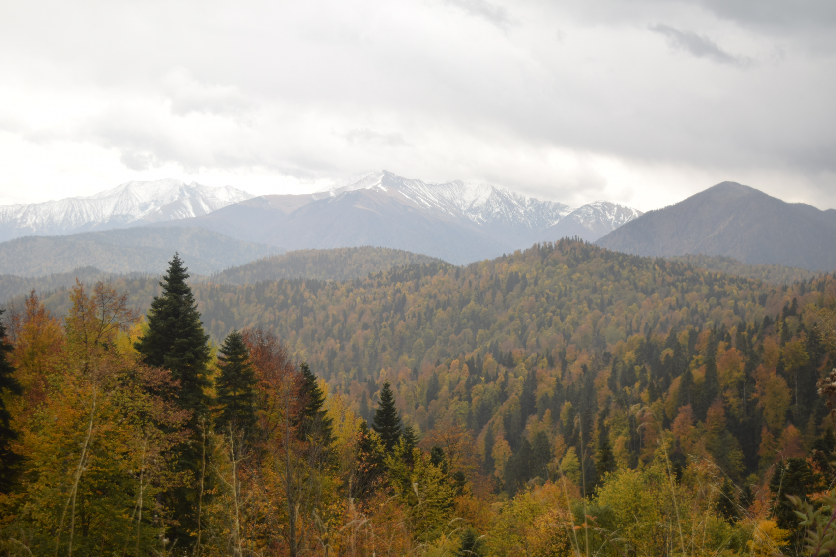 Осеннее очарование гор (9/70)