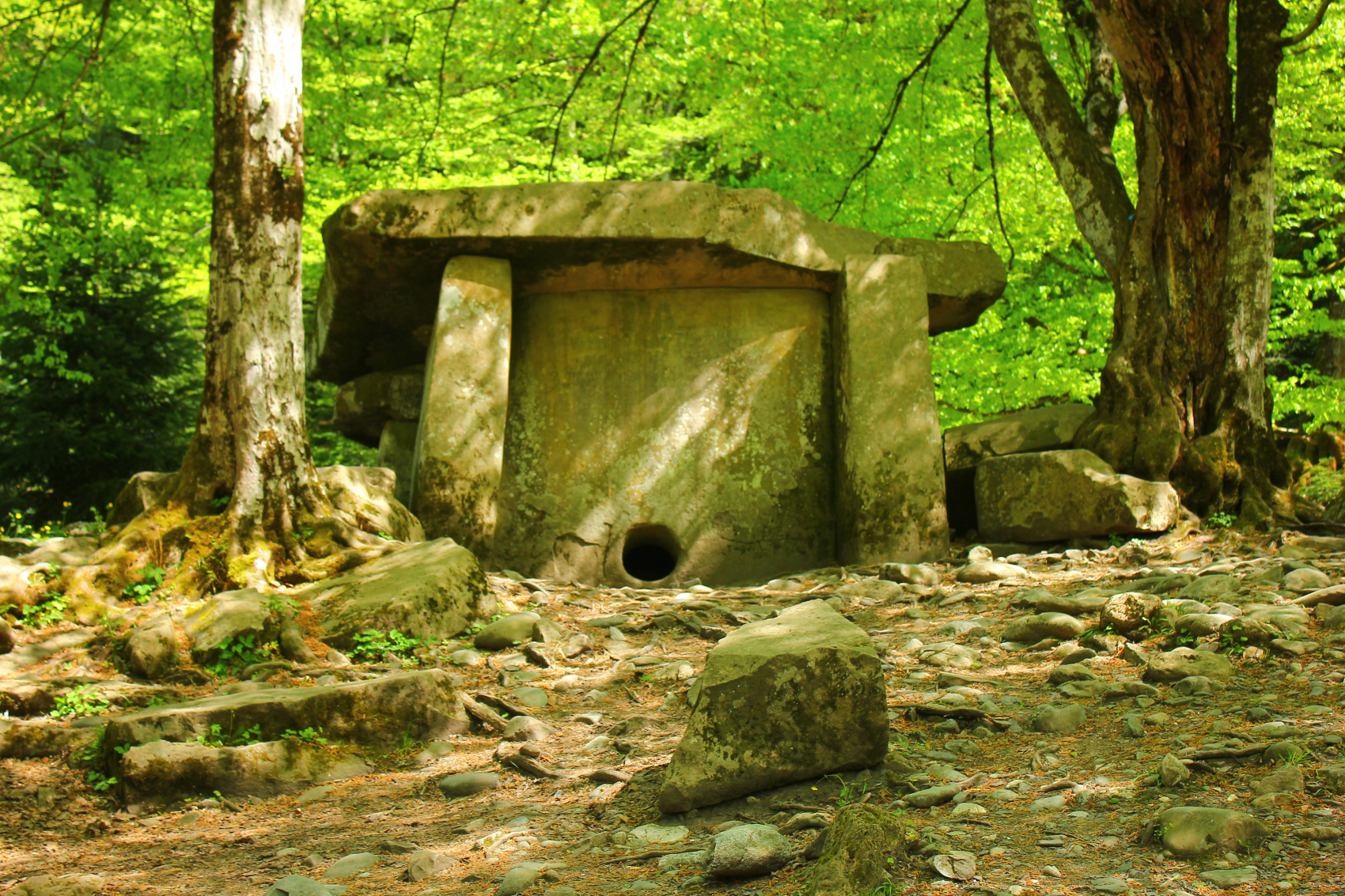 Осеннее очарование гор (7/70)