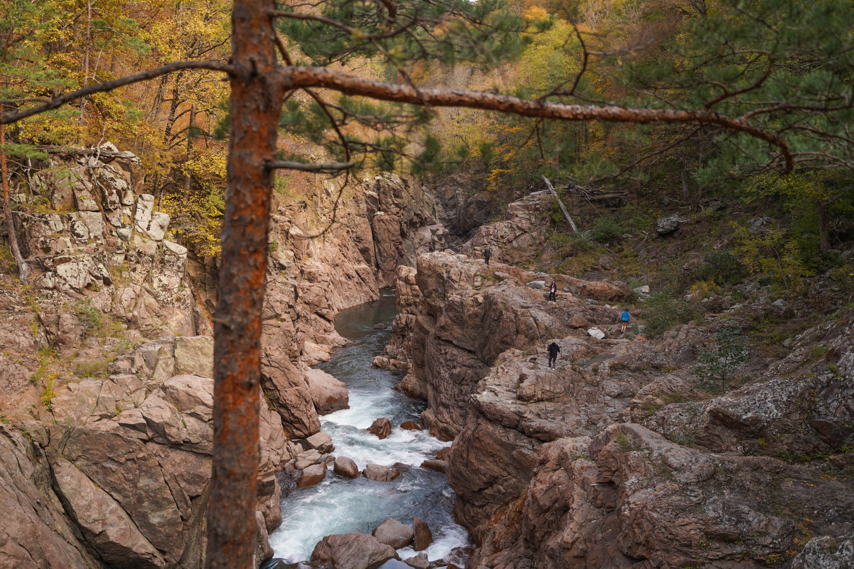 Осеннее очарование гор (3/70)