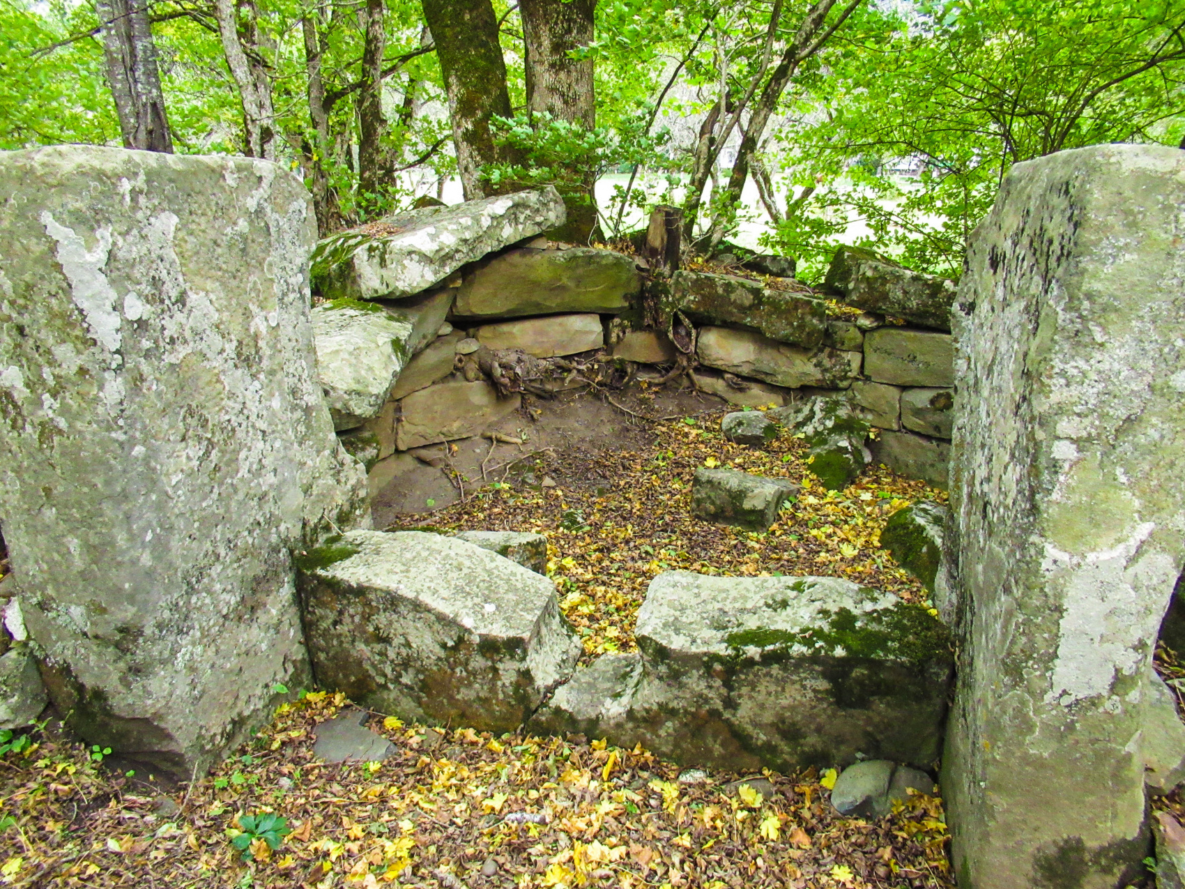 Осеннее очарование гор (11/70)