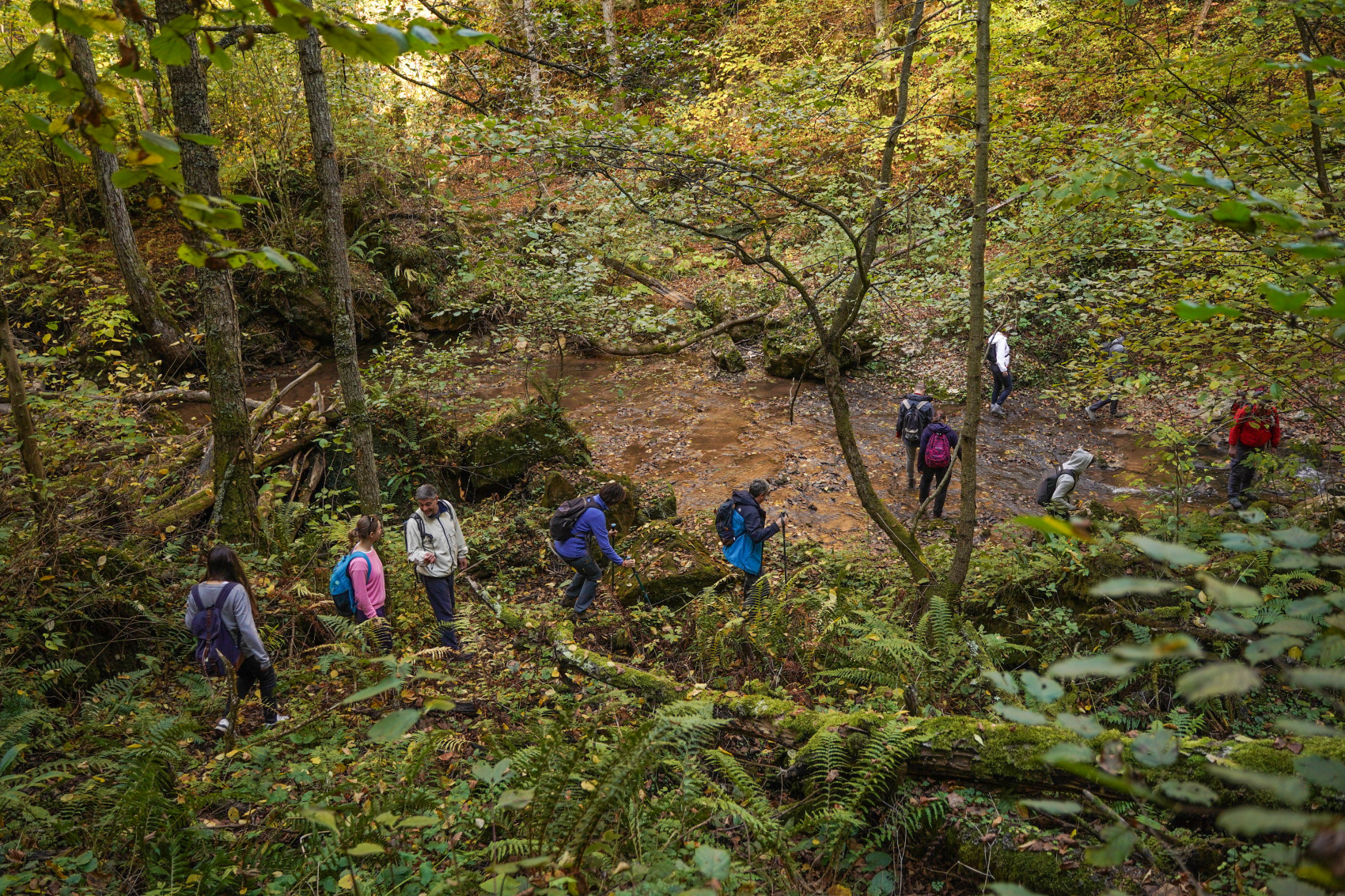 Осеннее очарование гор (14/70)