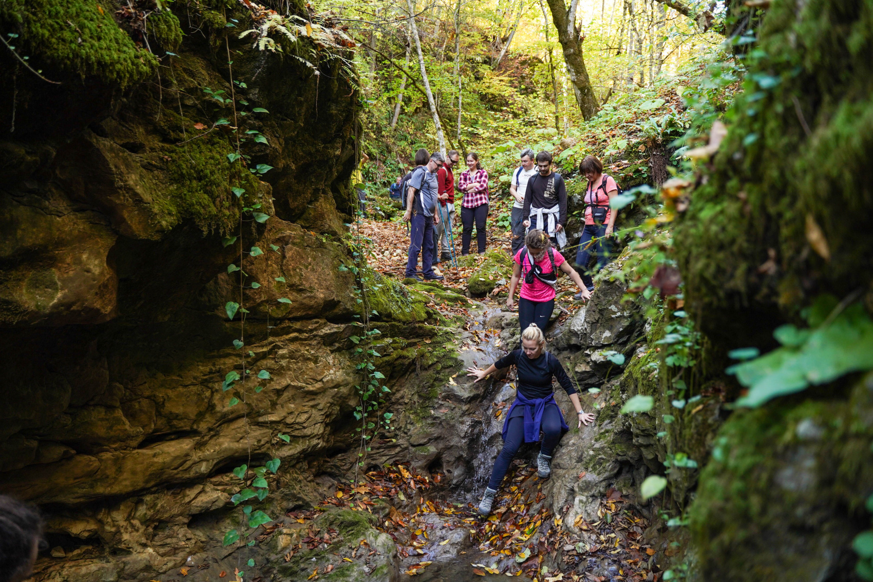 Осеннее очарование гор (17/70)