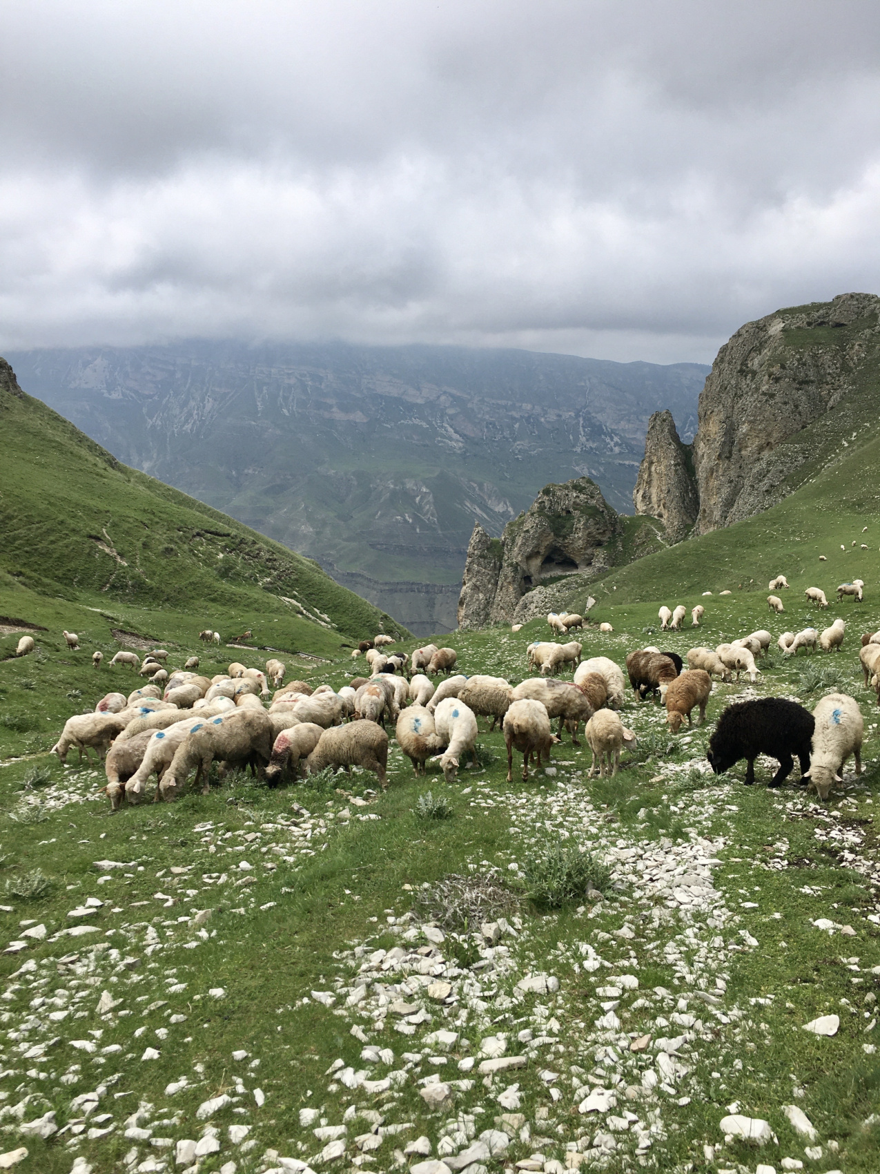 Главный Сулакский Каньон. В горы по следам писателей и художников (21/25)