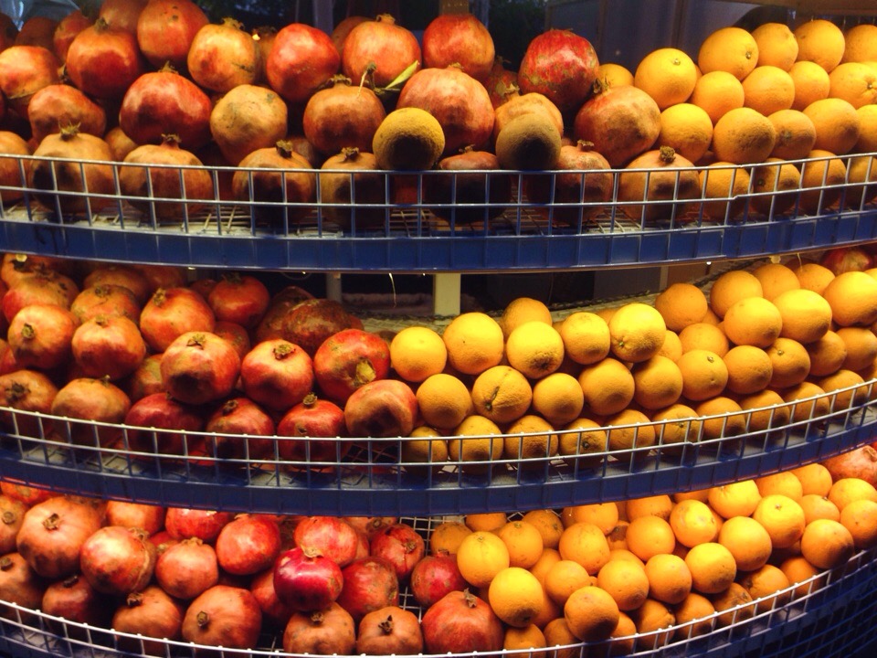 Западная Ликийская тропа без рюкзаков и палаток (18/42)