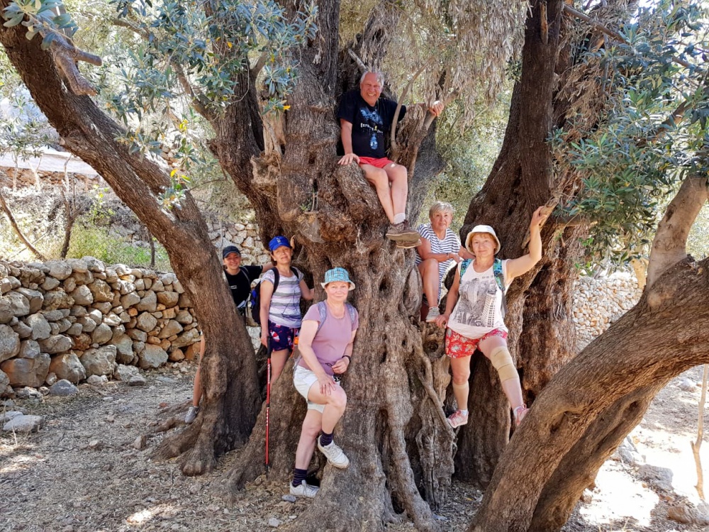 Западная Ликийская тропа без рюкзаков и палаток (10/42)