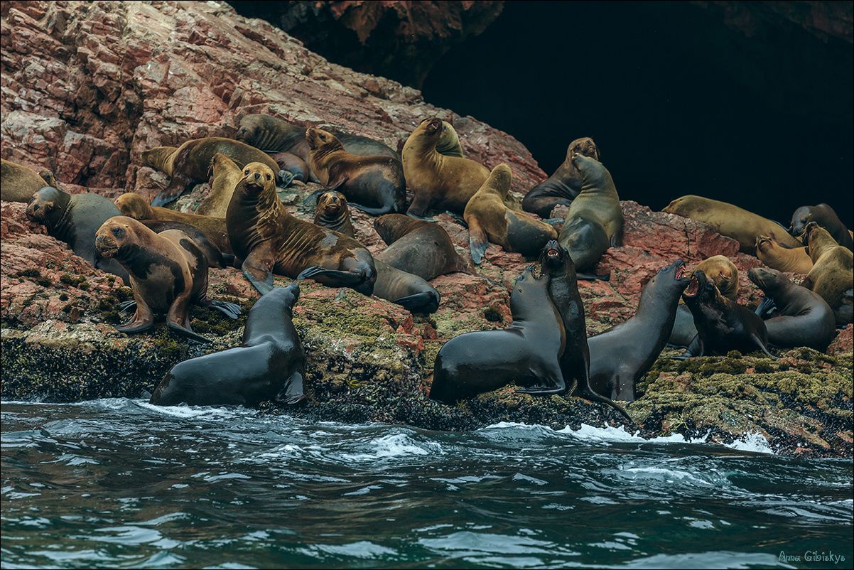 Загадки культуры инков и национальные парки Перу (6/60)