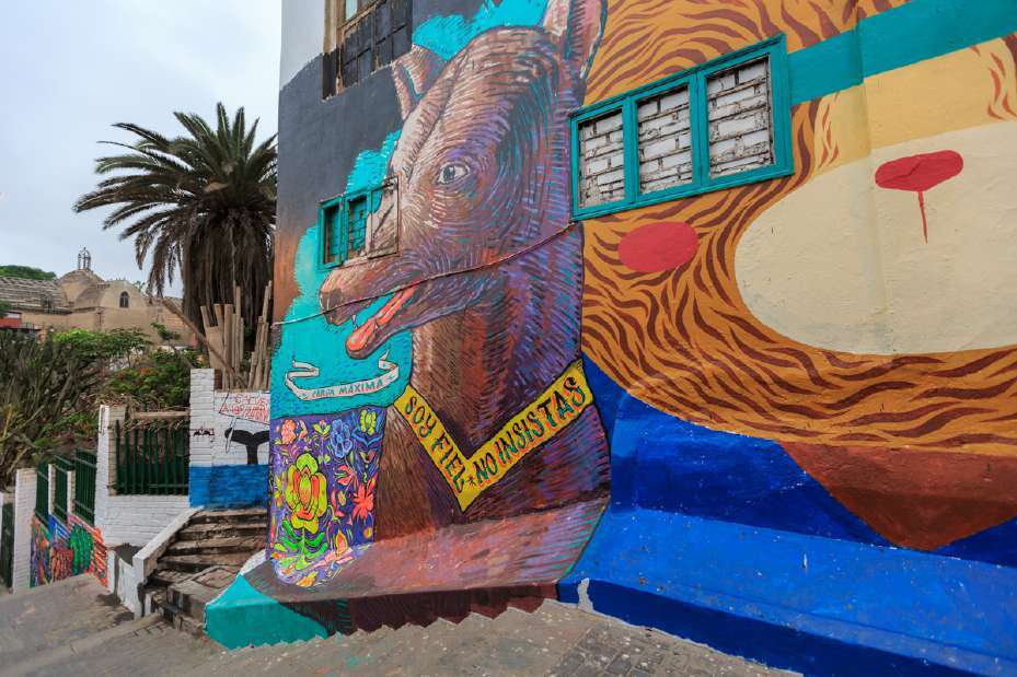 Загадки культуры инков и национальные парки Перу (20/60)