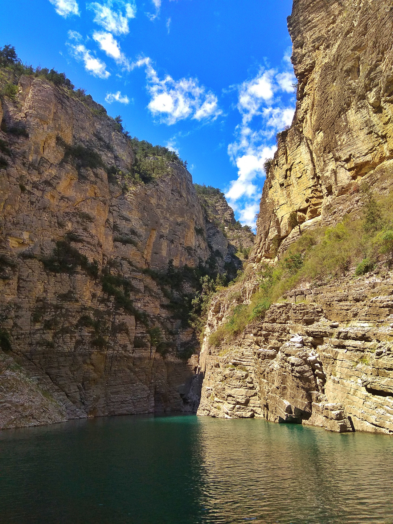 Страна гор (30/64)