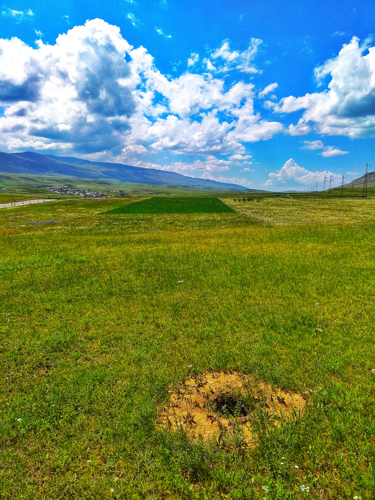 Страна гор (21/64)