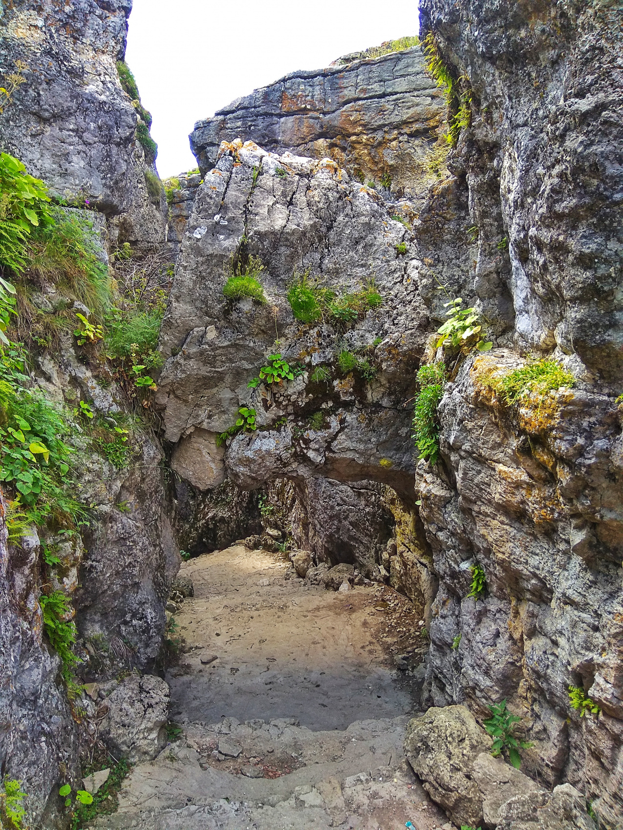 Страна гор (23/64)