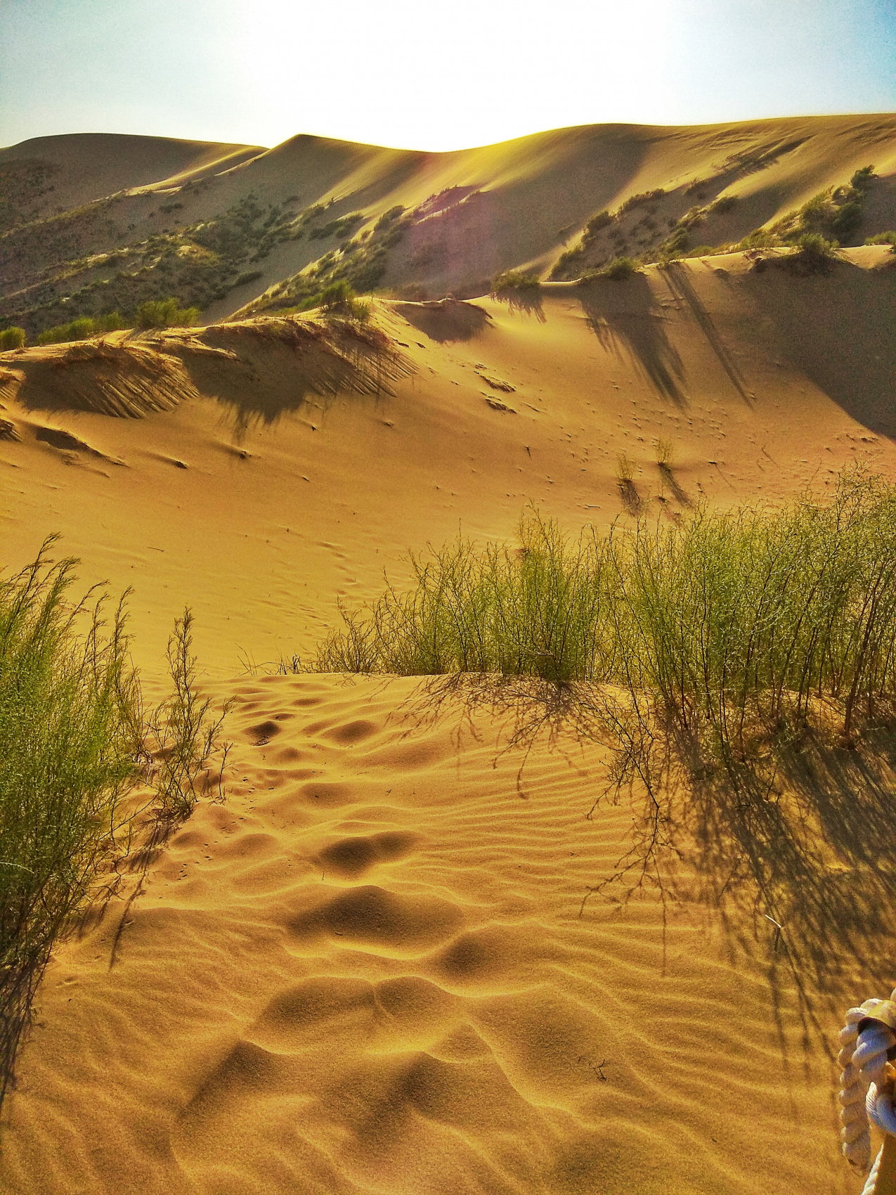 Страна гор (33/64)