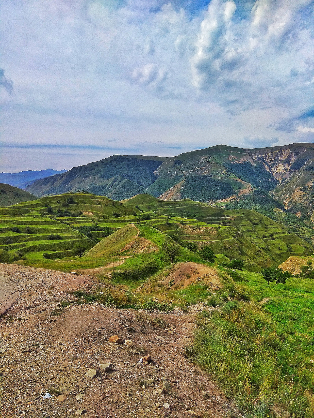 Страна гор (34/64)