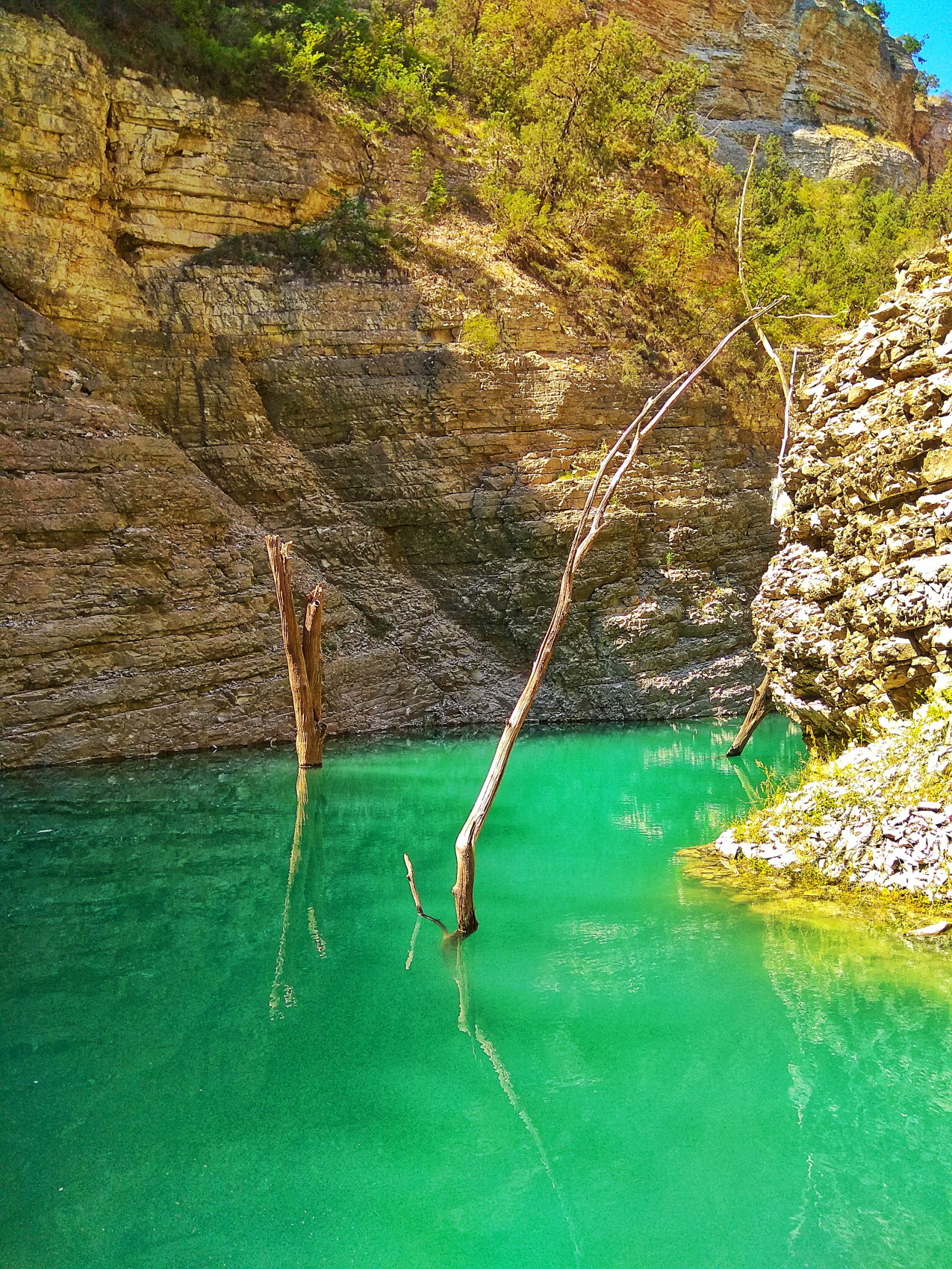 Страна гор (28/64)