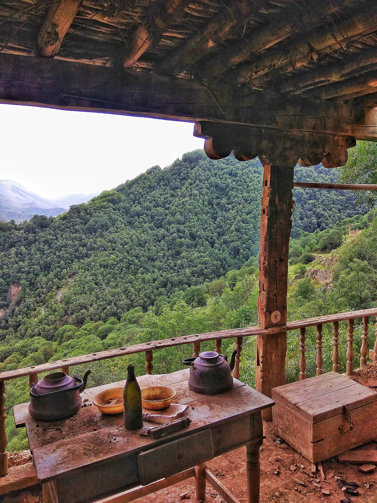 Страна гор (38/64)