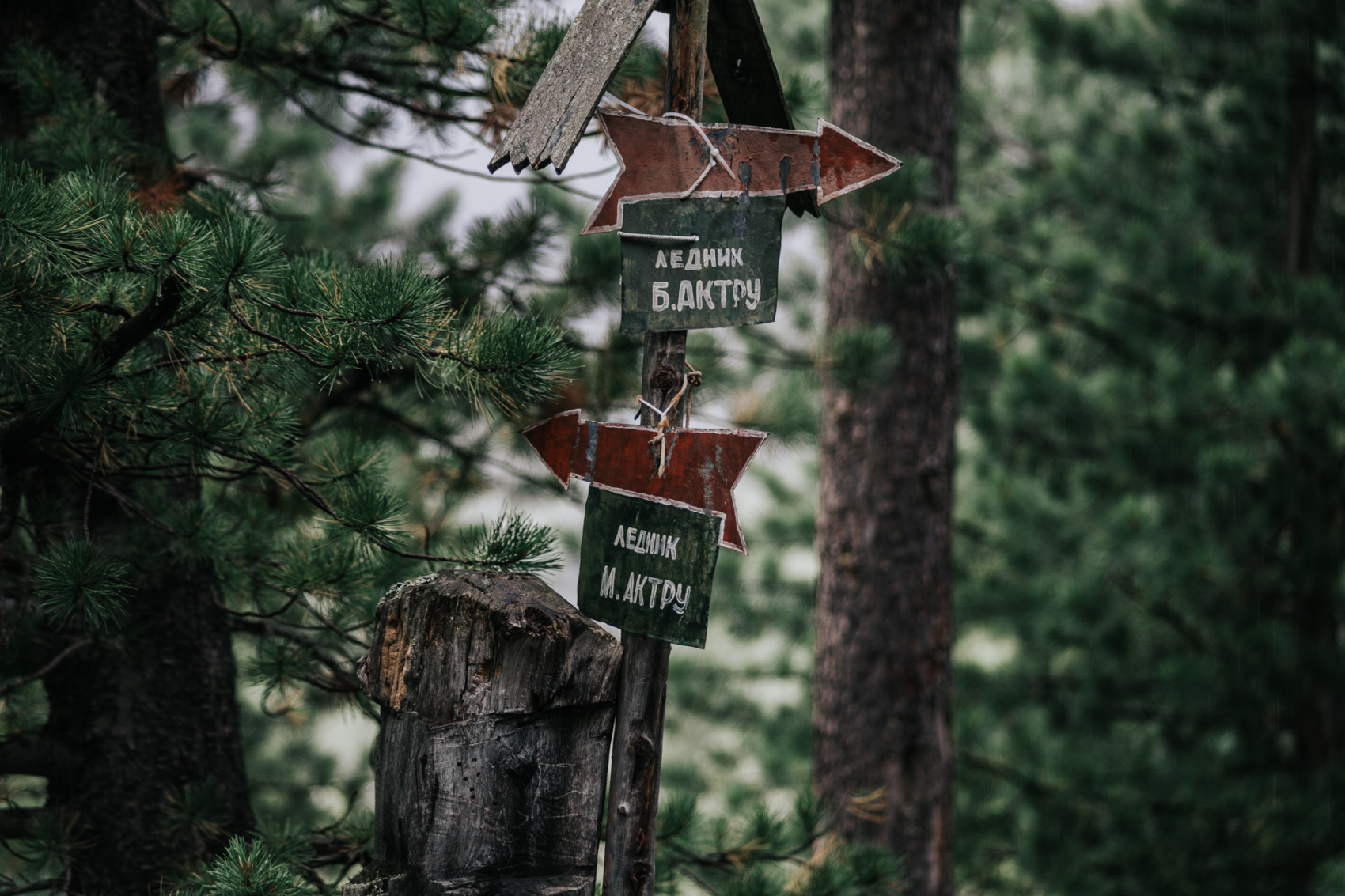 Выходные на Алтае: Ледник Актру + Марс! Без палаток, 3 дня (17/42)