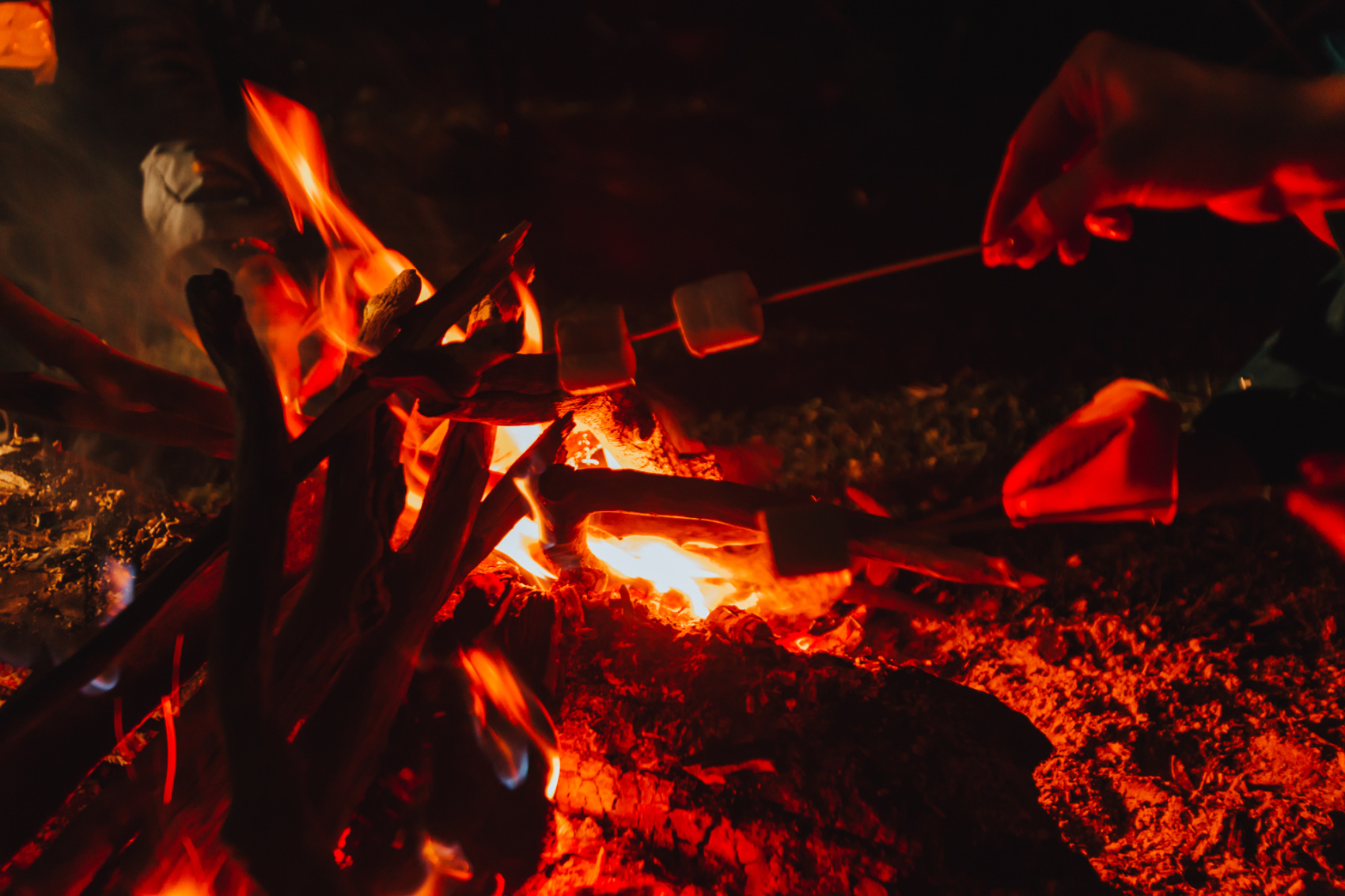 Выходные на Алтае: Ледник Актру + Марс! Без палаток, 3 дня (21/42)