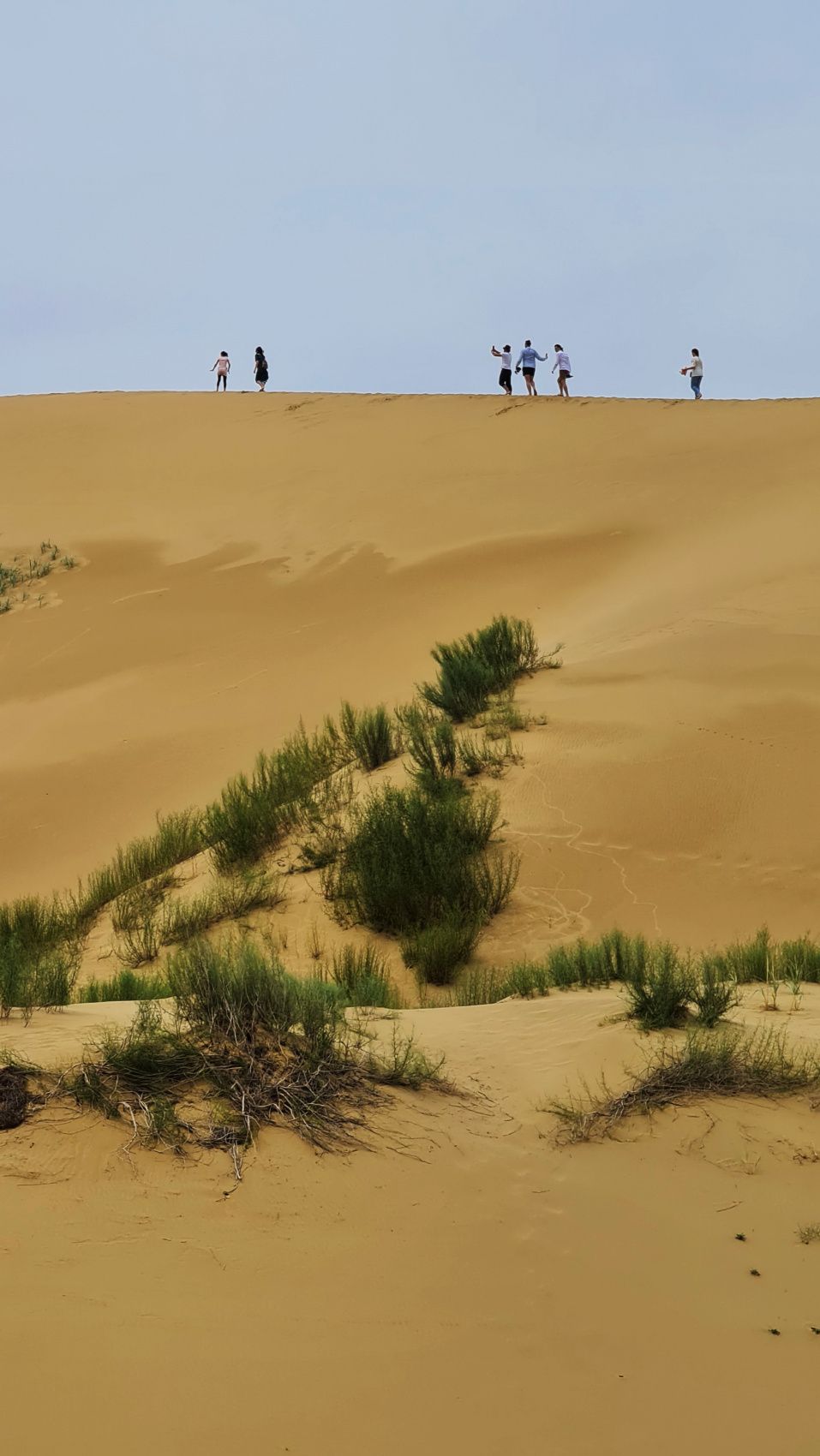 Краски Дагестана (20/103)