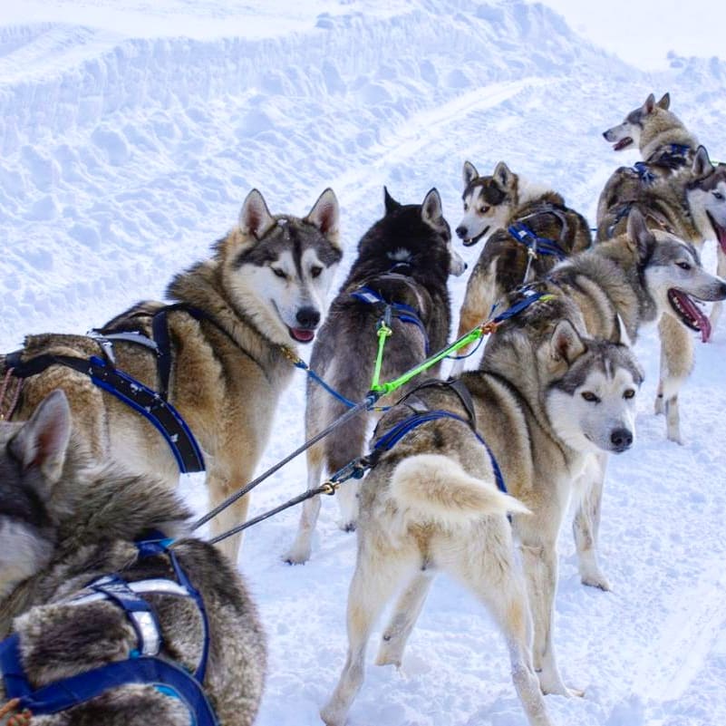 Горная Адыгея и Гуамское ущелье (27/50)