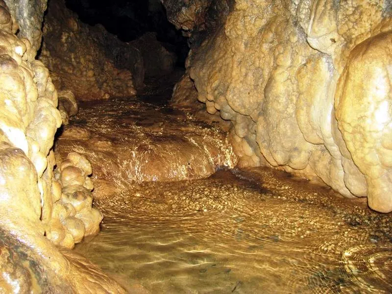 Горная Адыгея и Гуамское ущелье (15/50)