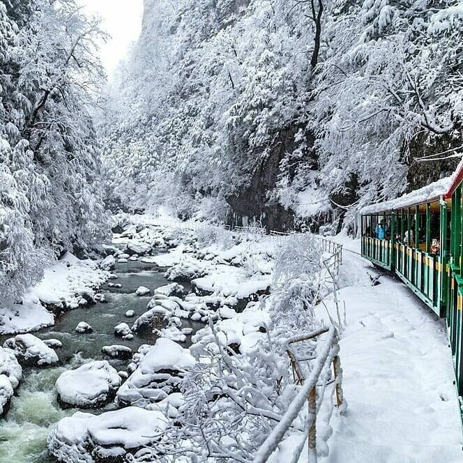 Горная Адыгея и Гуамское ущелье (5/50)