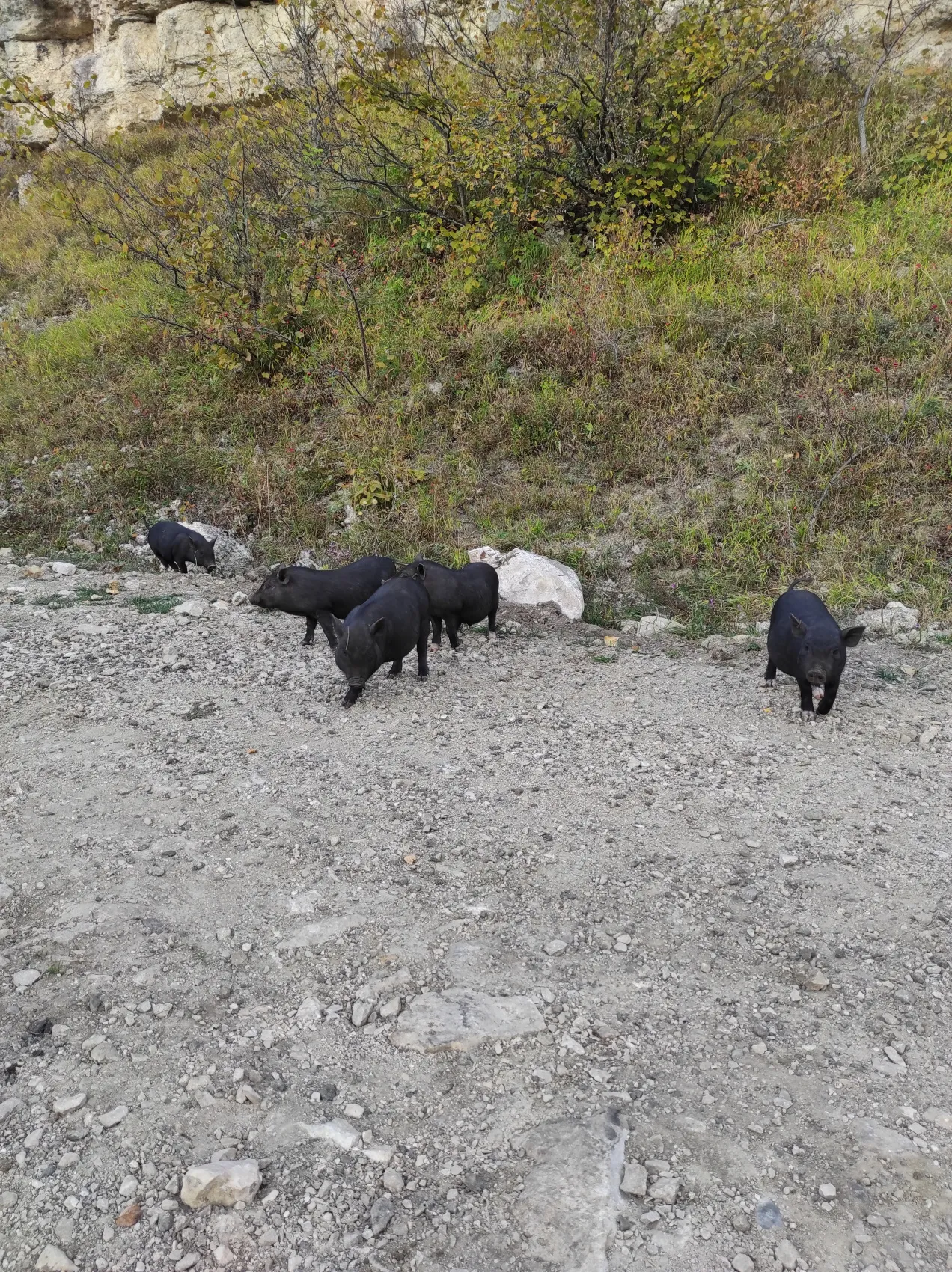 Горная Адыгея и Гуамское ущелье (25/50)