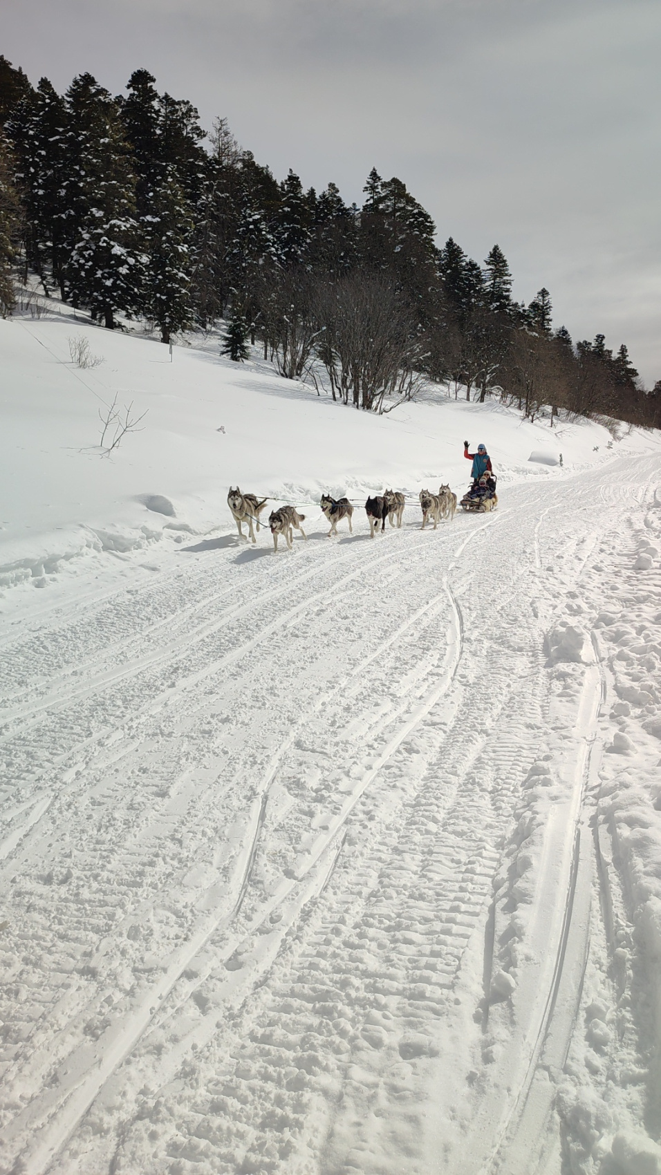 Горная Адыгея и Гуамское ущелье (28/50)