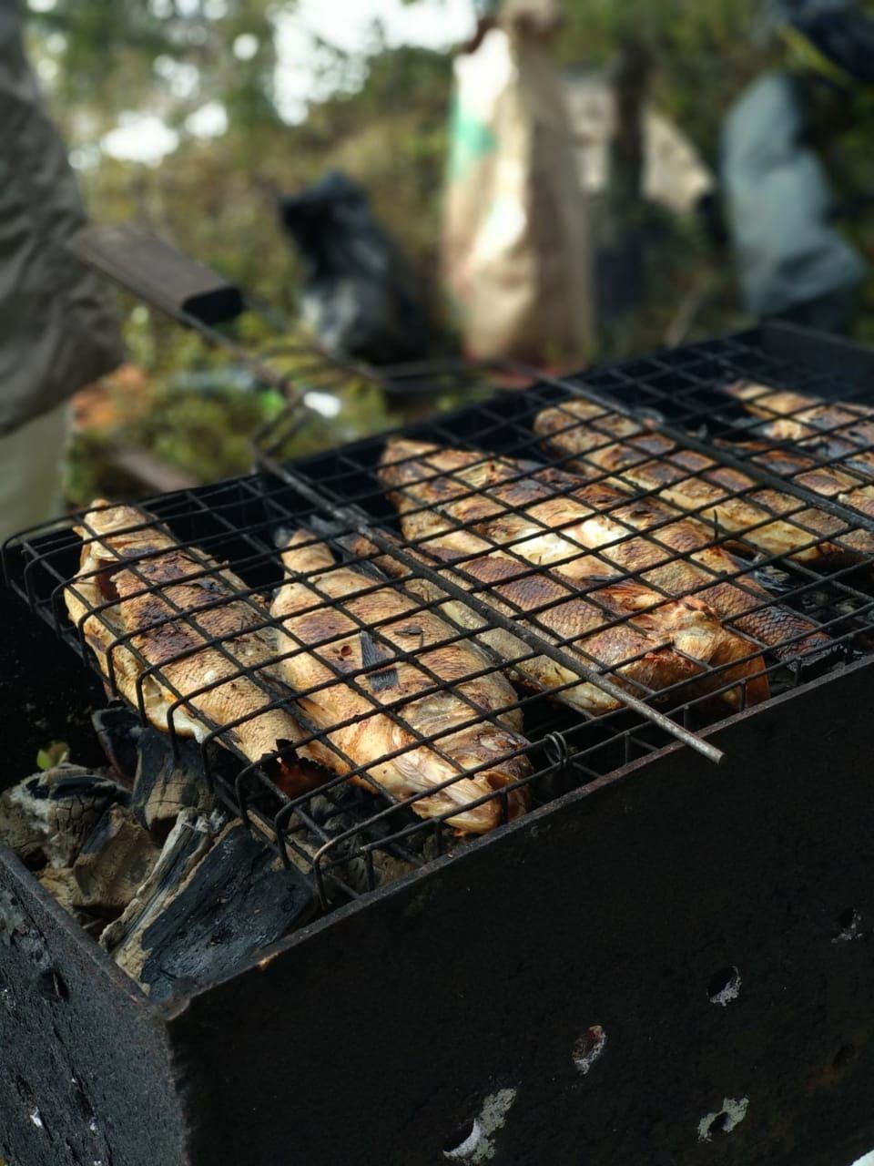 Рыбалка на хариуса в северных реках. Группы до 5 человек (29/48)