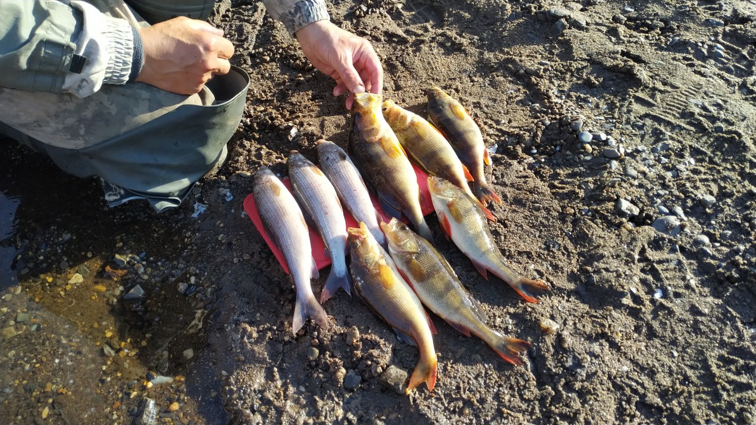 Большой сплав с рыбалкой на хариуса по малым рекам северного края (12/55)