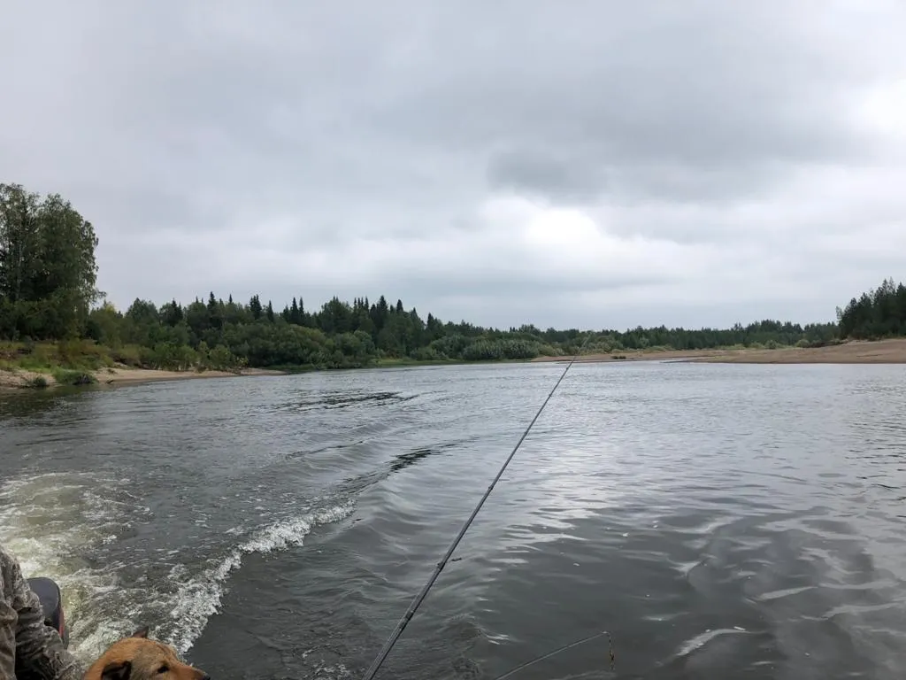 Рыбалка на хариуса в северных реках. Группы до 5 человек (14/48)
