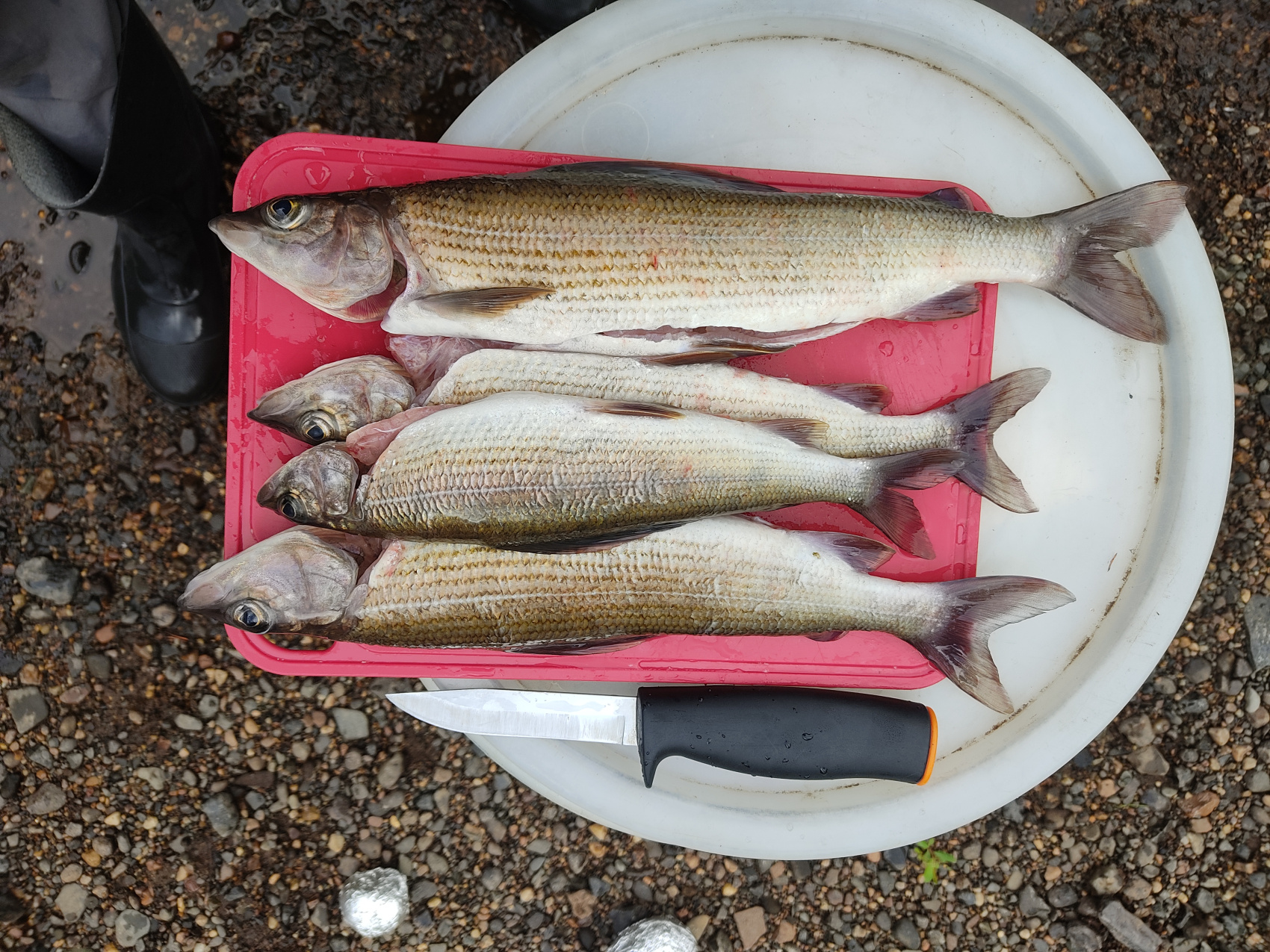 Большой сплав с рыбалкой на хариуса по малым рекам северного края (26/55)