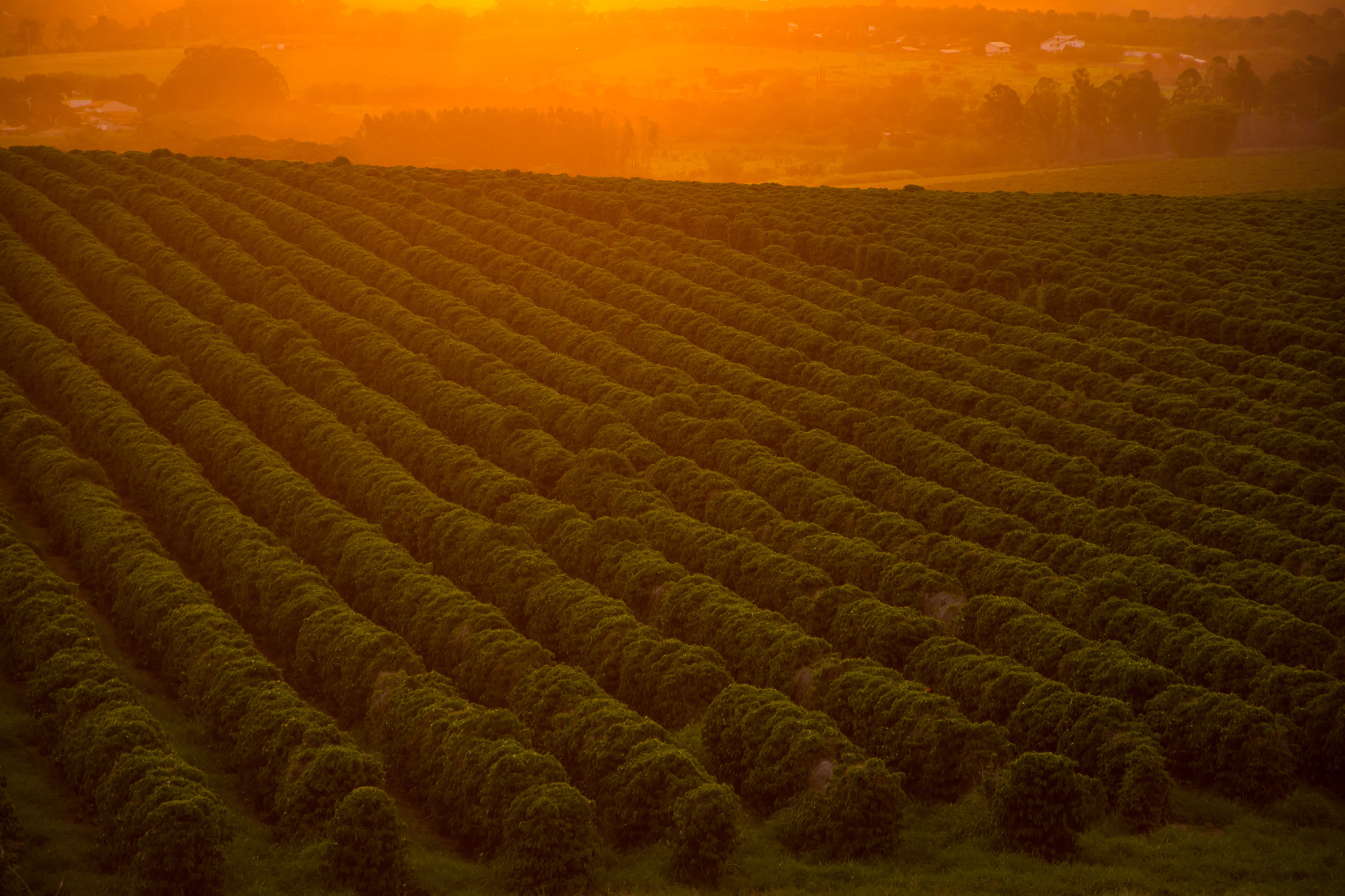 ВМЕСТЕ В БРАЗИЛИЮ! ТОП ВПЕЧАТЛЕНИЙ!(УЖЕ ВКЛЮЧЕНЫ АВИАБИЛЕТЫ ПО ПРОГРАММЕ) (12/51)