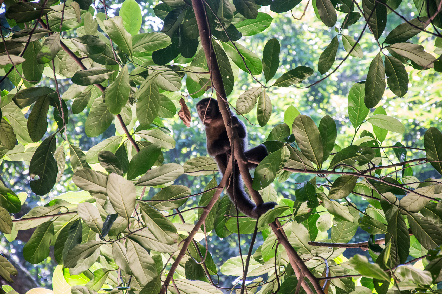 ВМЕСТЕ В БРАЗИЛИЮ! ТОП ВПЕЧАТЛЕНИЙ!(УЖЕ ВКЛЮЧЕНЫ АВИАБИЛЕТЫ ПО ПРОГРАММЕ) (11/51)