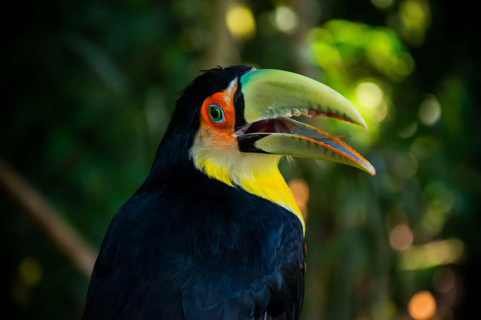 ВМЕСТЕ В БРАЗИЛИЮ! ТОП ВПЕЧАТЛЕНИЙ!(УЖЕ ВКЛЮЧЕНЫ АВИАБИЛЕТЫ ПО ПРОГРАММЕ) (20/51)
